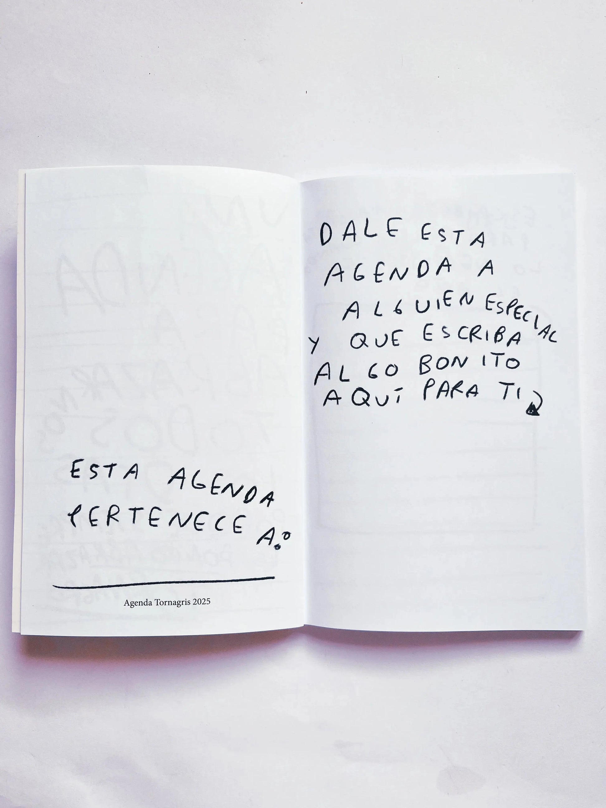 Agenda interminable Torna Gris - Artista Mexicano