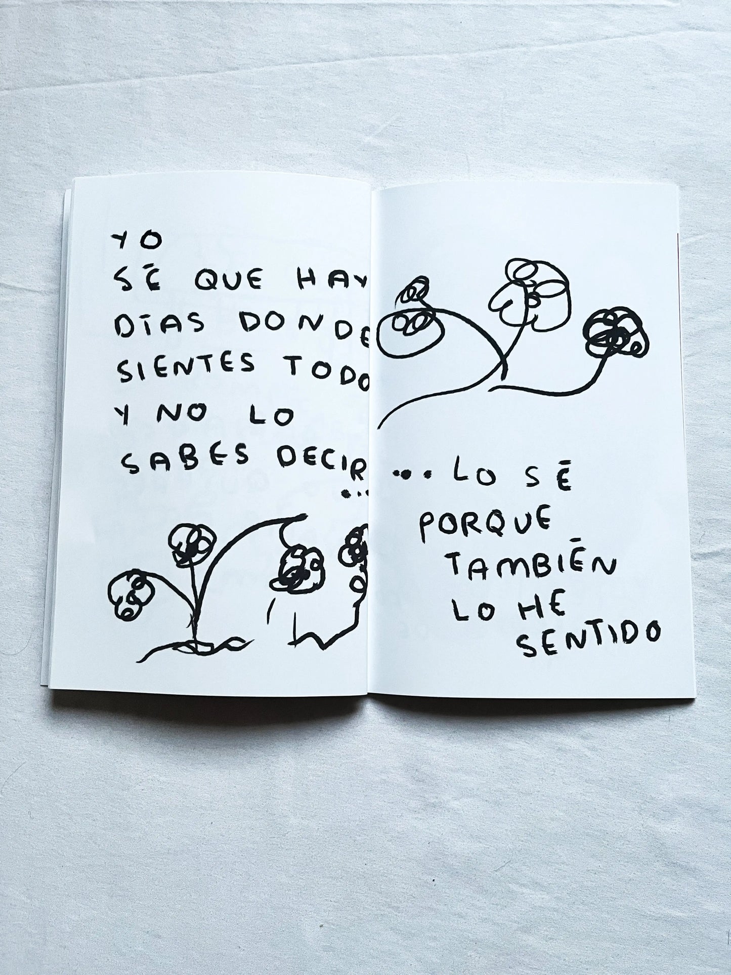 Para mi tu eres increible (libro Fisico) - Torna Gris - Artista Mexicano