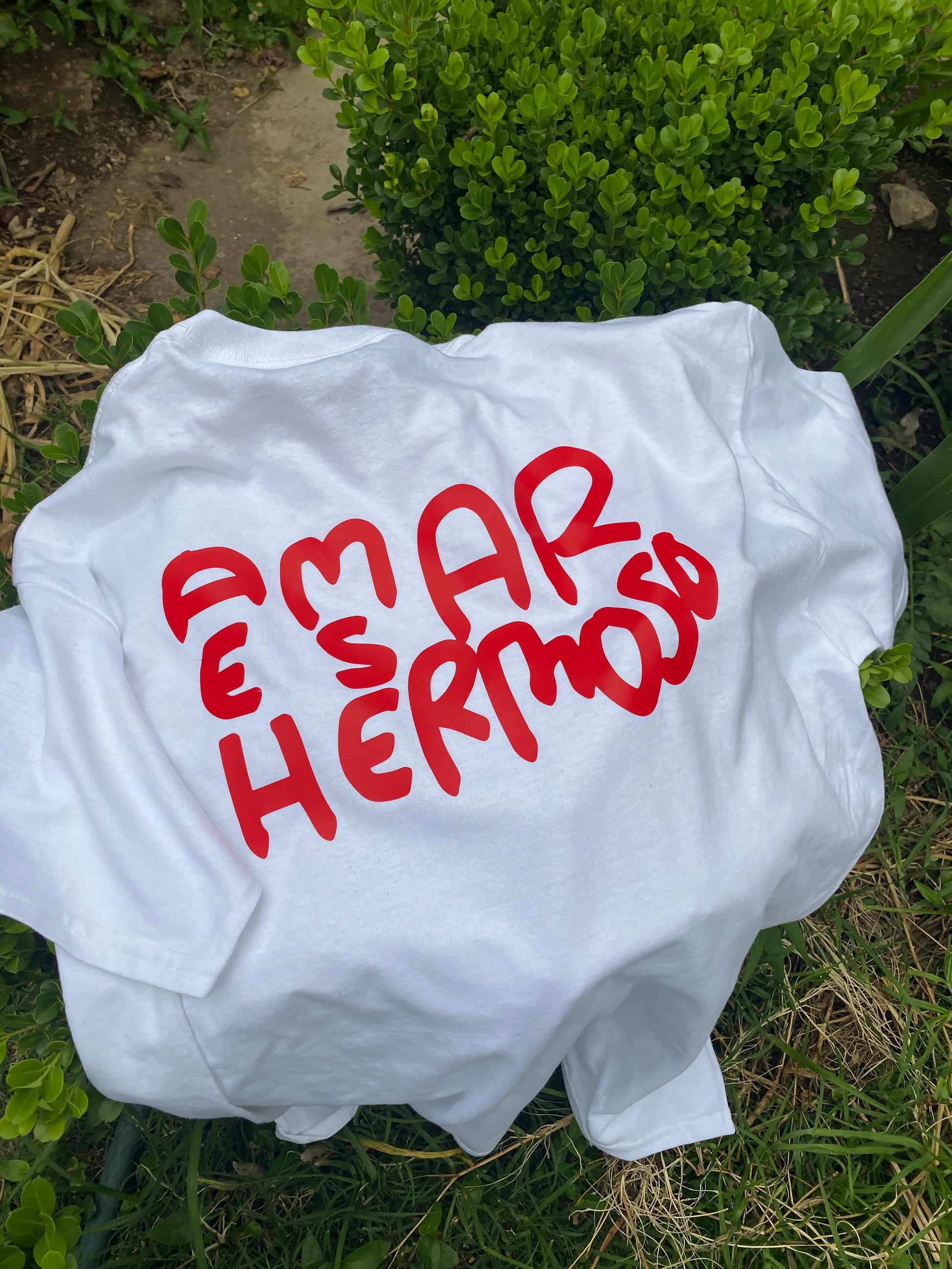 Amar es hermoso - Playera unisex Torna Gris - Artista Mexicano