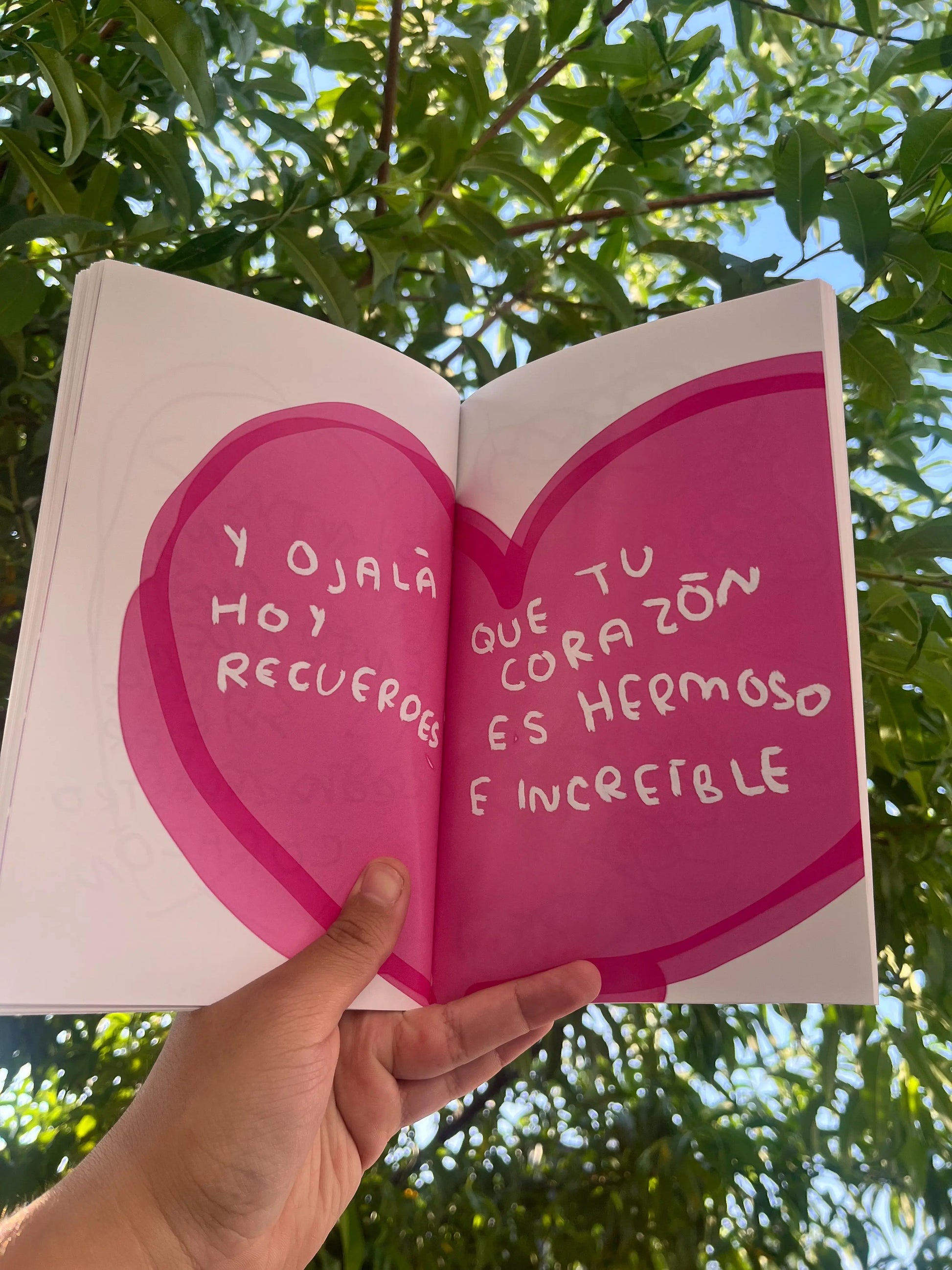 Para mi tu eres increible 2da Edicion (Fisico) - Torna Gris - Artista Mexicano