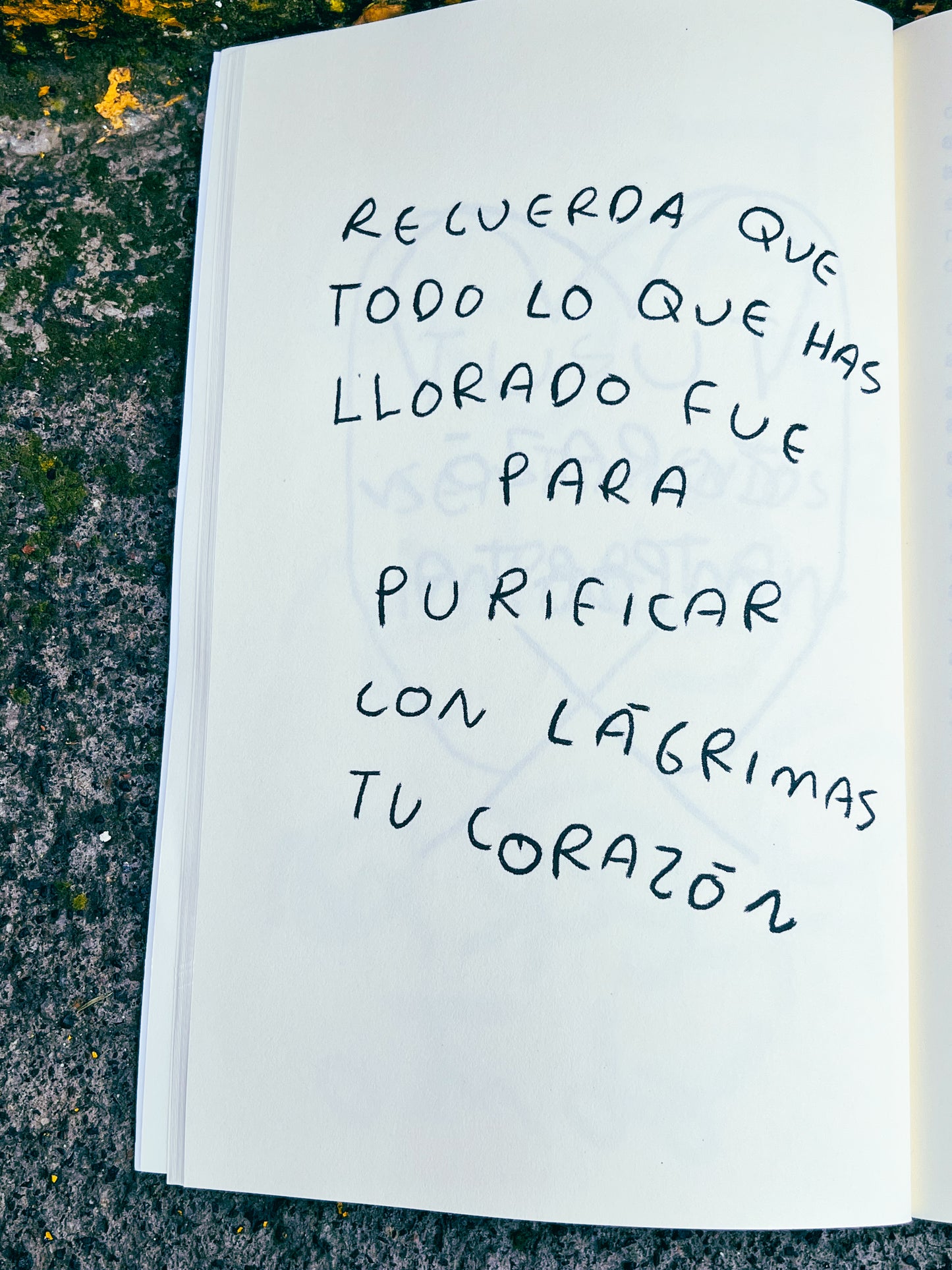 Todos estamos rotos LIBRO ORIGINAL (Fisico) - Torna Gris