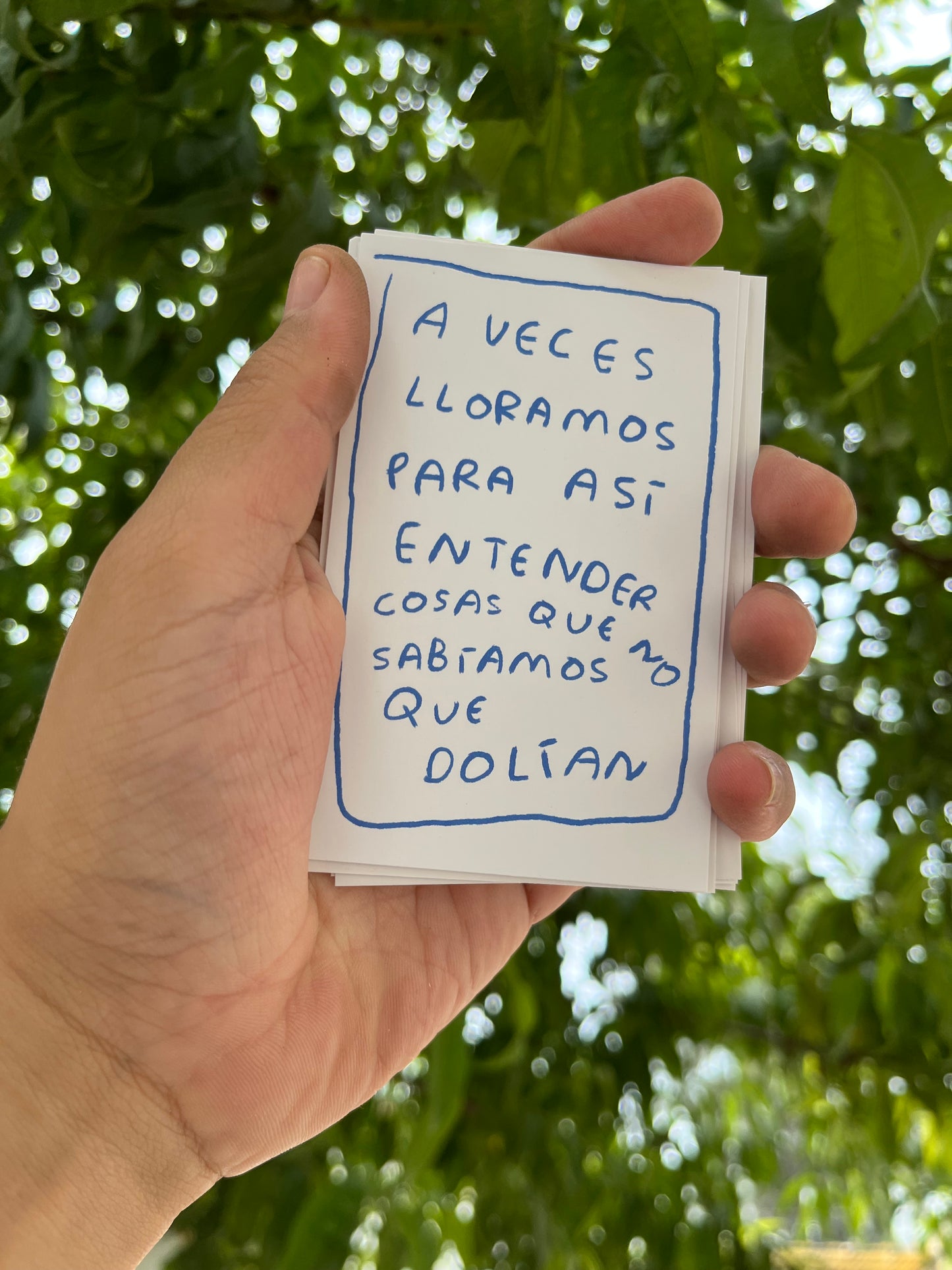 Todo lo que aprendi llorando (fisico) - Torna Gris - Artista Mexicano