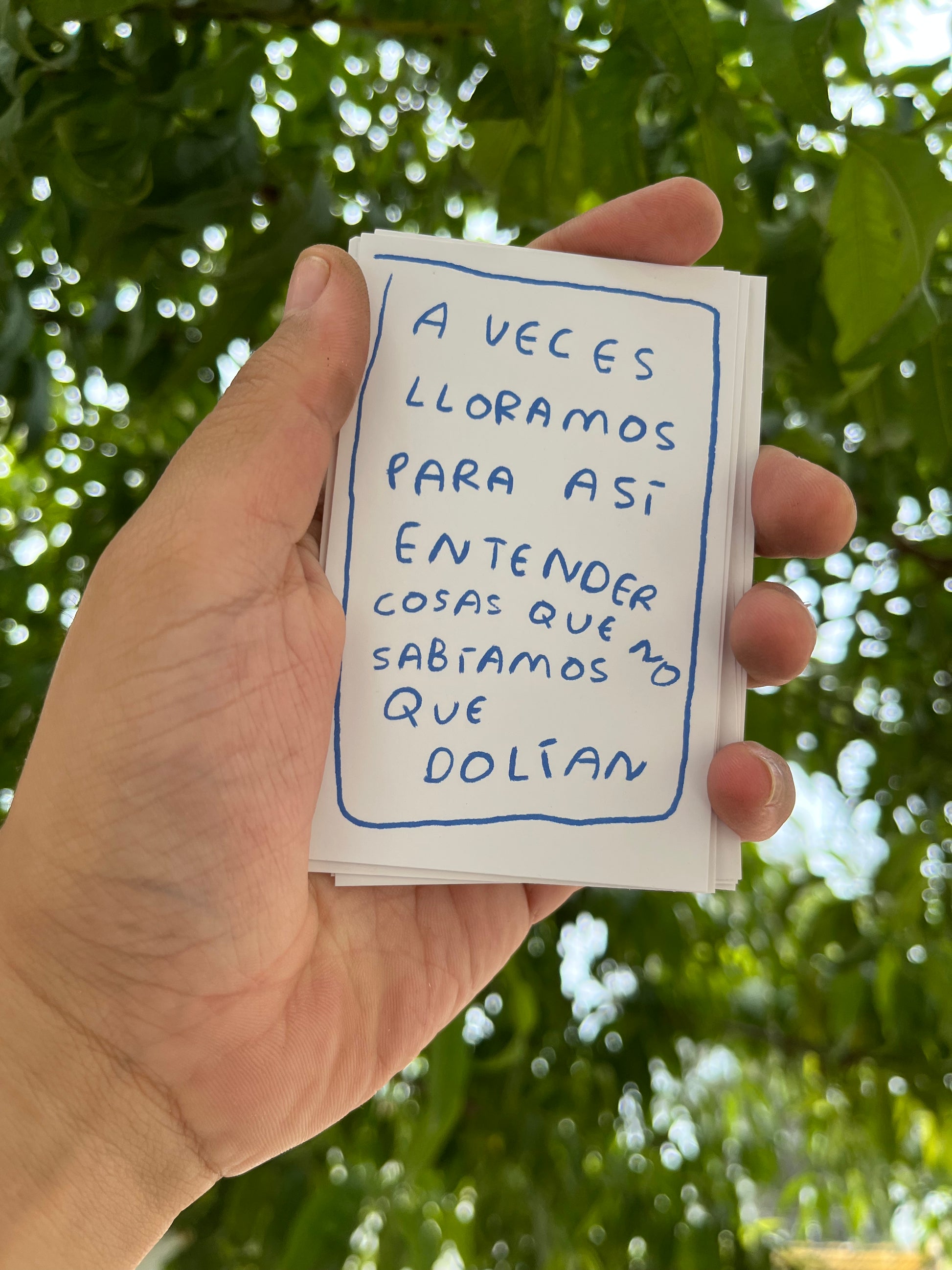 Todo lo que aprendi llorando (fisico) - Torna Gris - Artista Mexicano