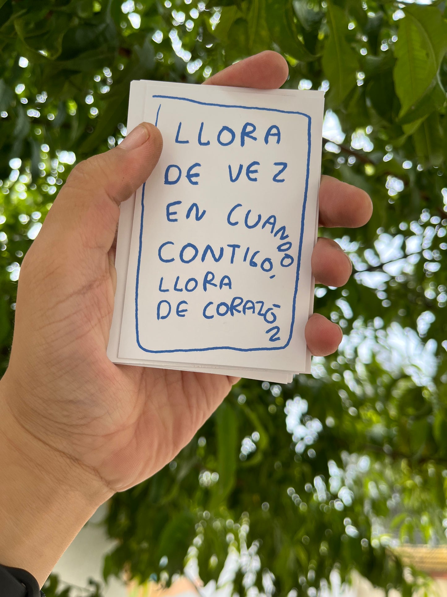 Todo lo que aprendi llorando (fisico) - Torna Gris - Artista Mexicano