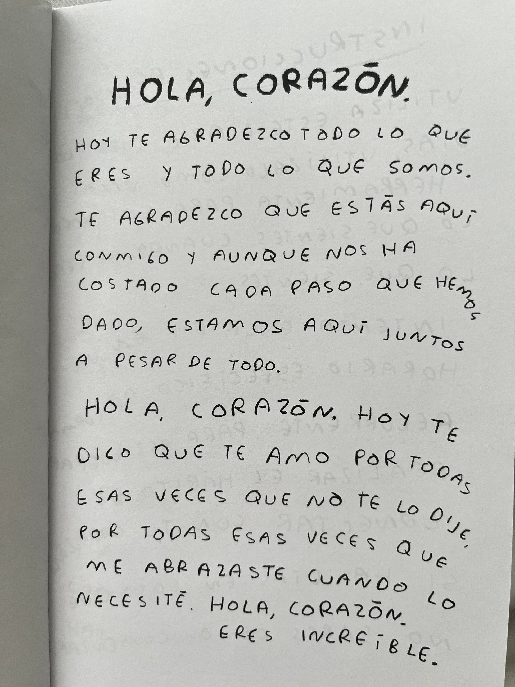 Hola, corazon. Diario para entender tus sentimientos (FISICO) Torna Gris - Artista Mexicano