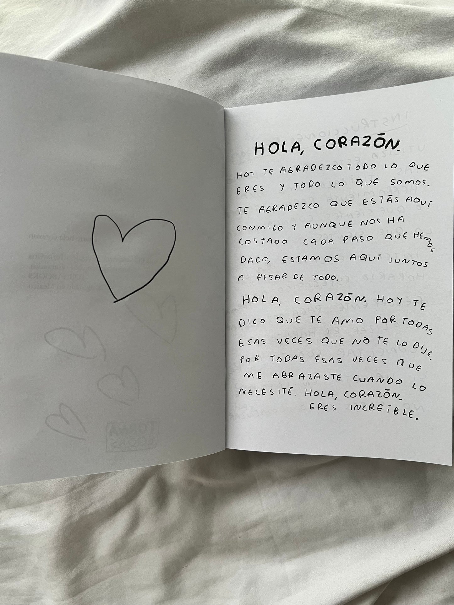 Hola, corazon. Diario para entender tus sentimientos (FISICO) Torna Gris - Artista Mexicano