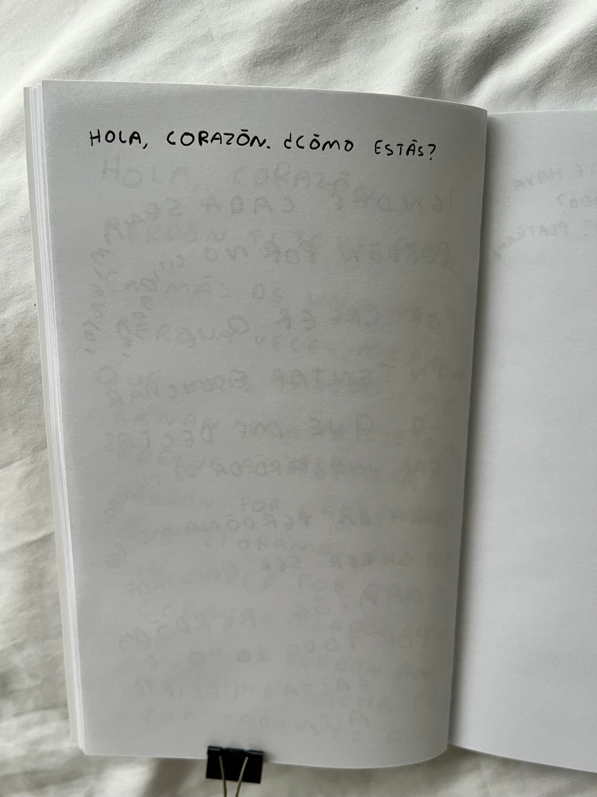 Hola, corazon. Diario para entender tus sentimientos (FISICO) Torna Gris - Artista Mexicano