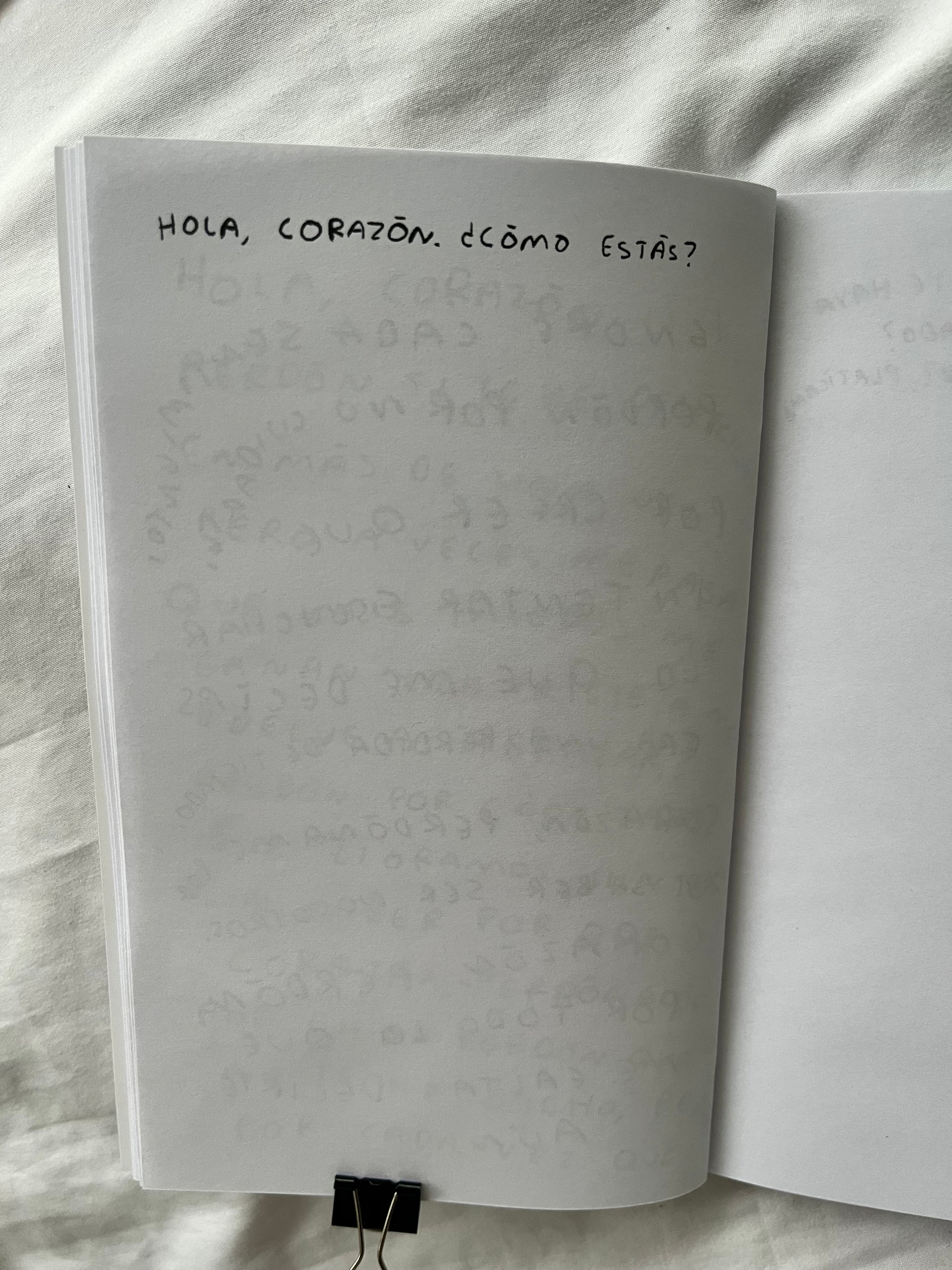 Hola, corazon. Diario para entender tus sentimientos (FISICO) Torna Gris - Artista Mexicano