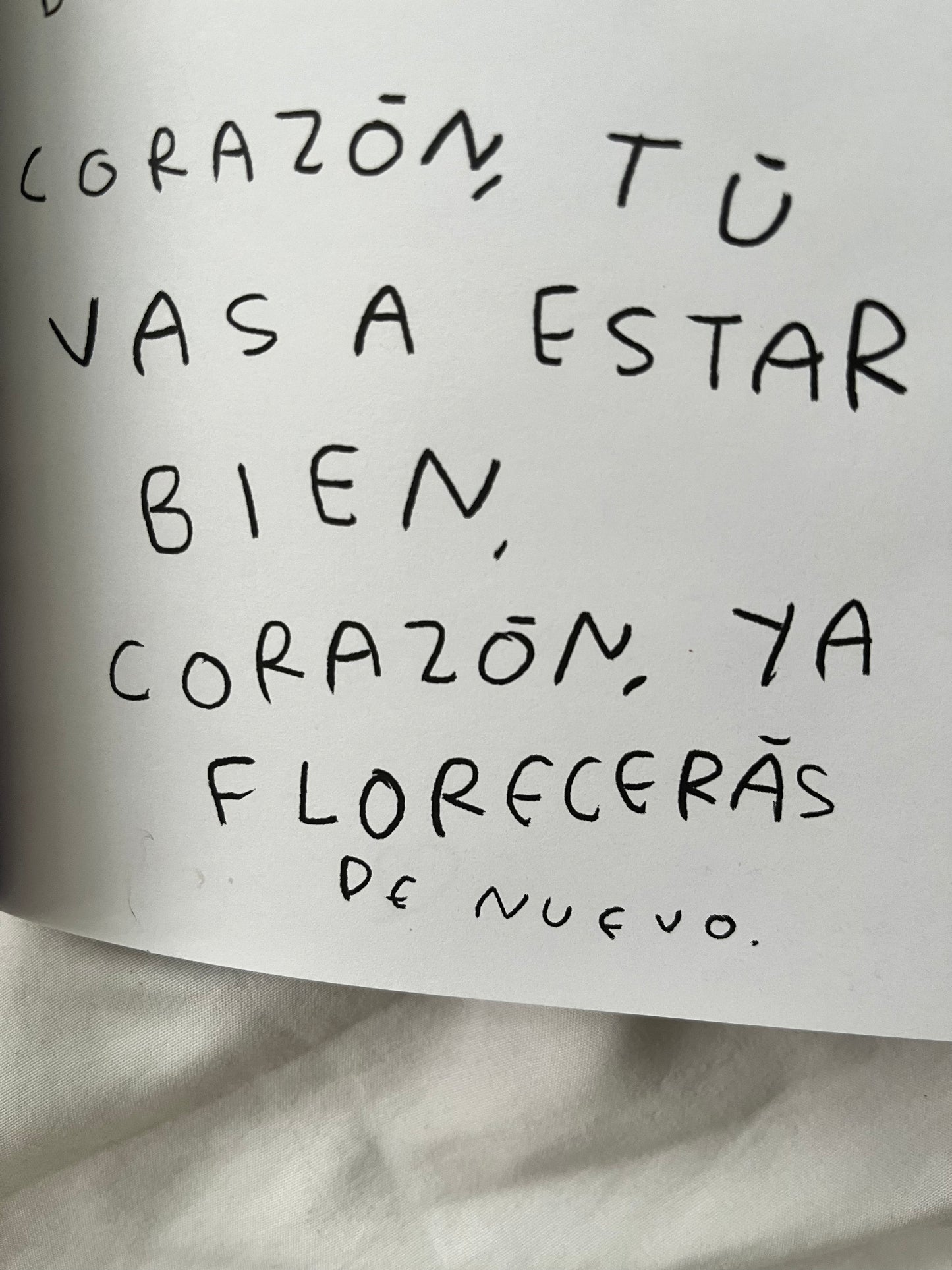 Hola, corazon. Diario para entender tus sentimientos (FISICO) Torna Gris - Artista Mexicano