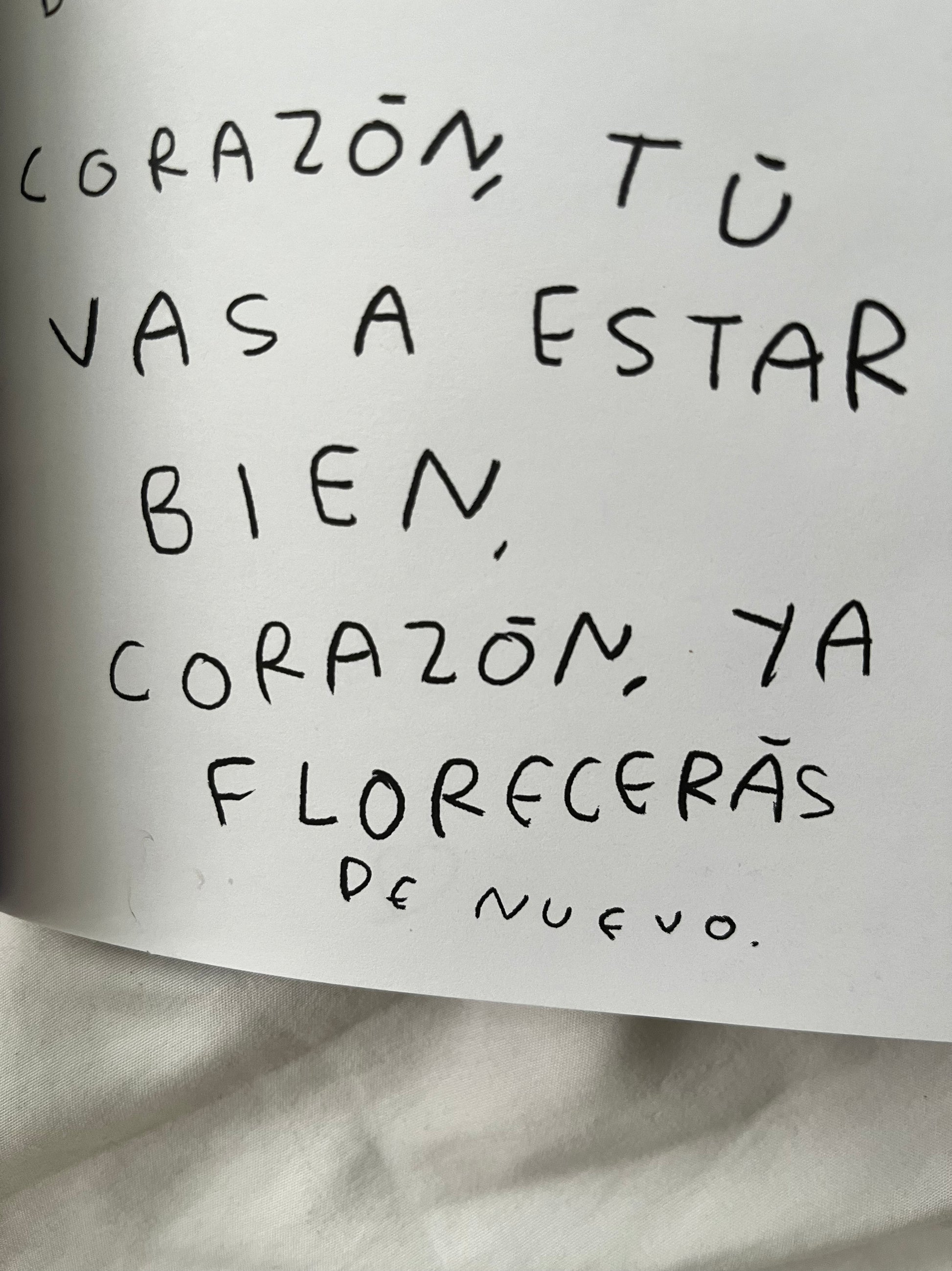 Hola, corazon. Diario para entender tus sentimientos (FISICO) Torna Gris - Artista Mexicano