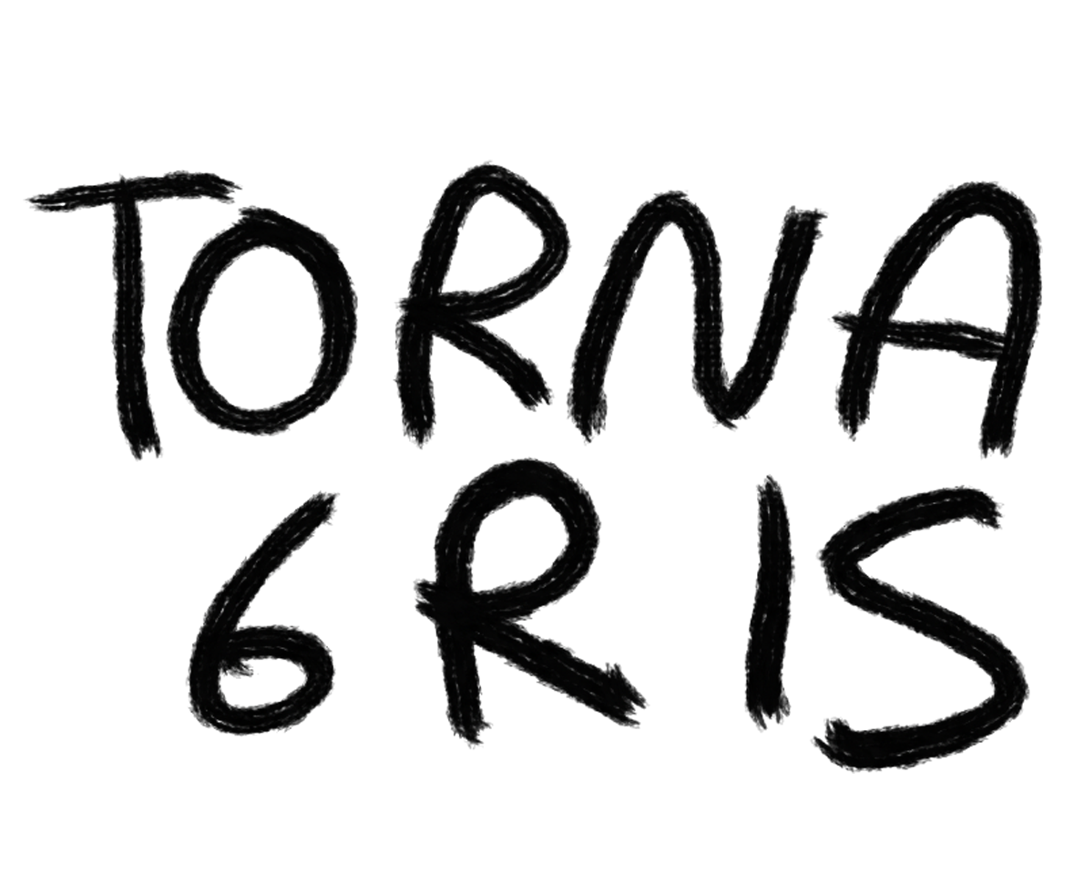 Torna Gris - Artista Mexicano