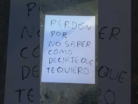 Perdón por a veces no saber cómo decirte que te quiero, pero te amo de corazón #perdon #quotes