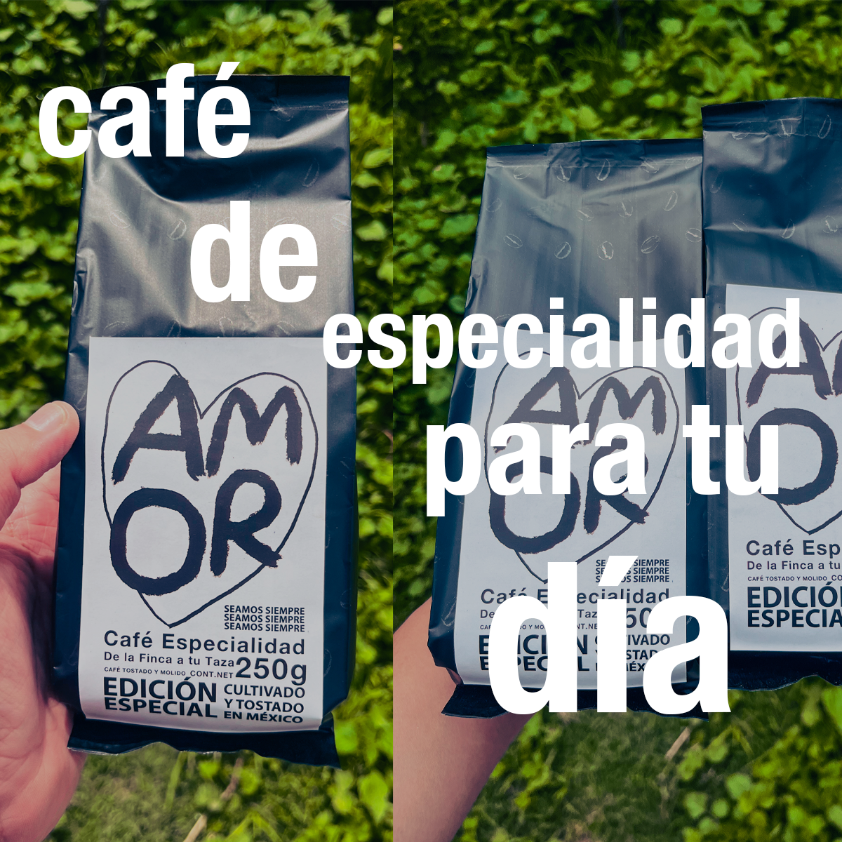 Café Amor — Edición Especial Torna Gris