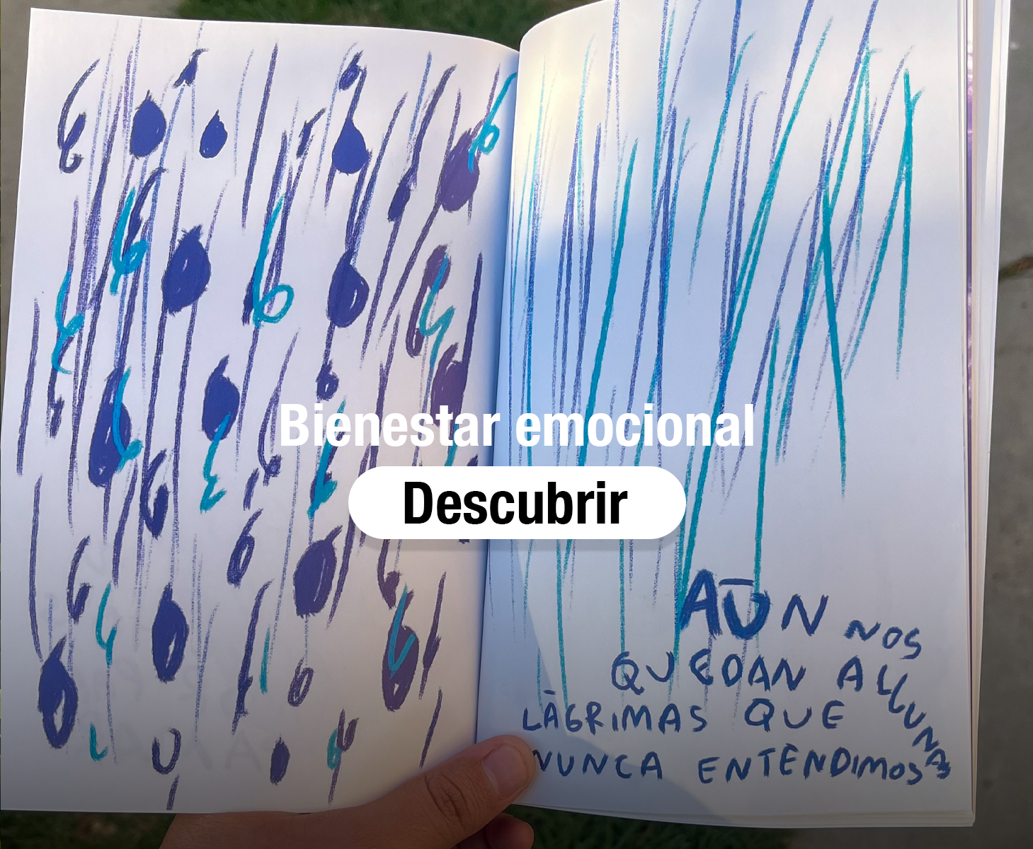 Bienestar Emocional