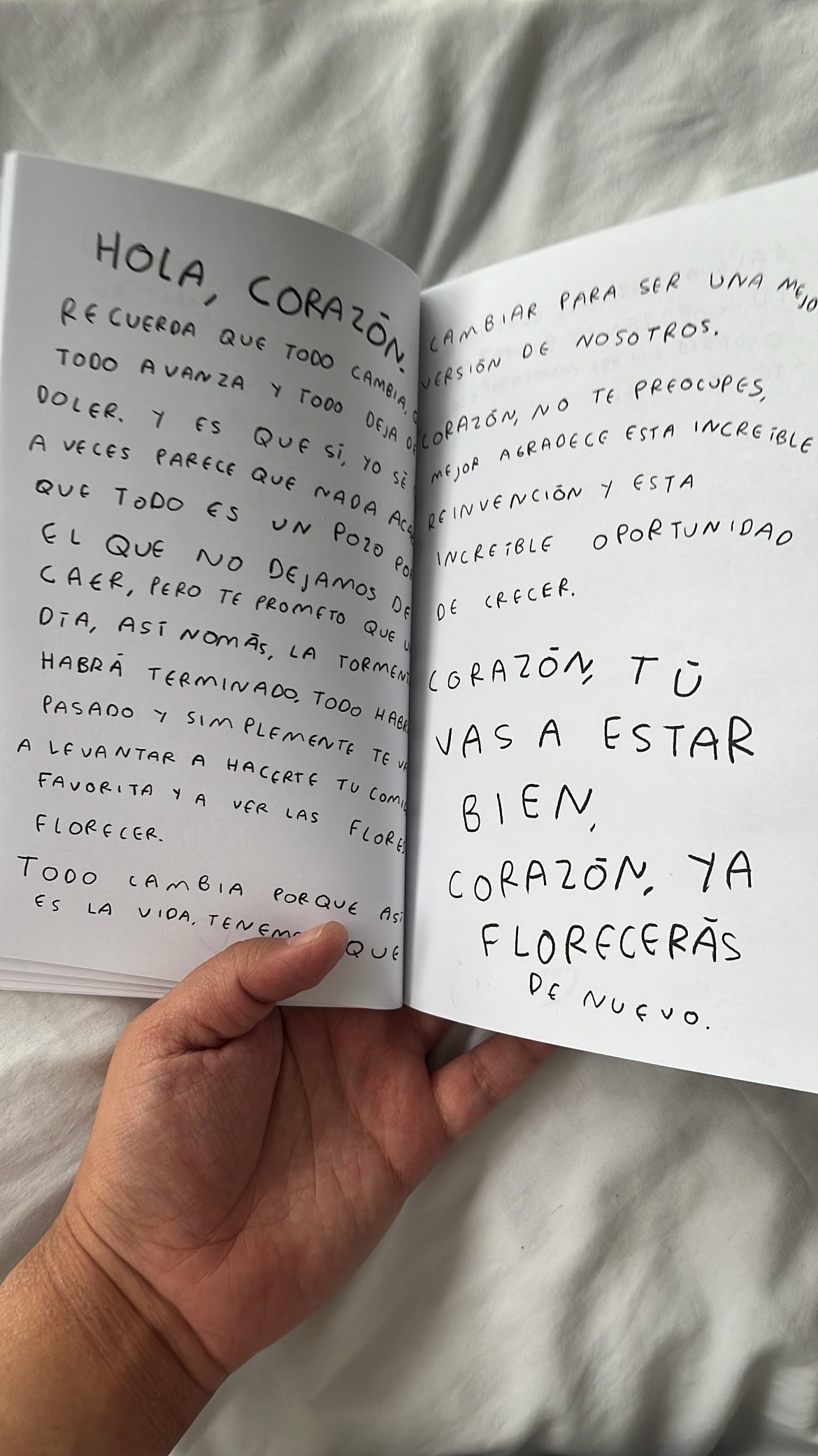 Hola, corazon. Diario para entender tus sentimientos (FISICO)
