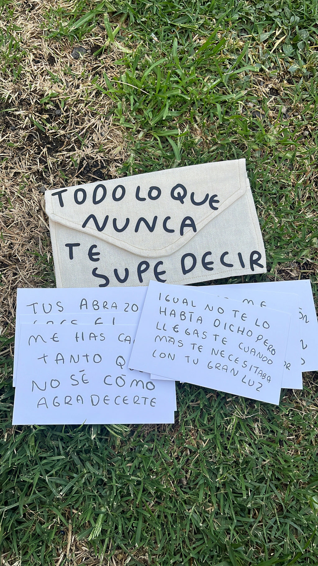 Todo lo que nunca te supe decir
