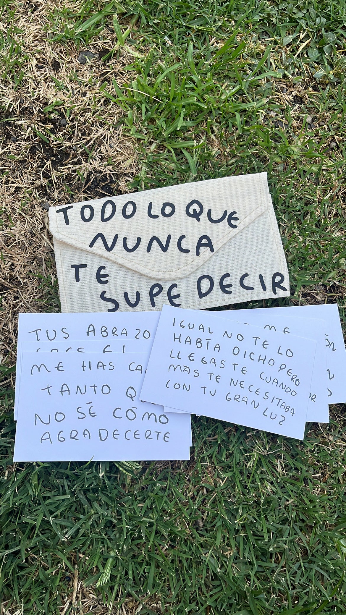 Todo lo que nunca te supe decir