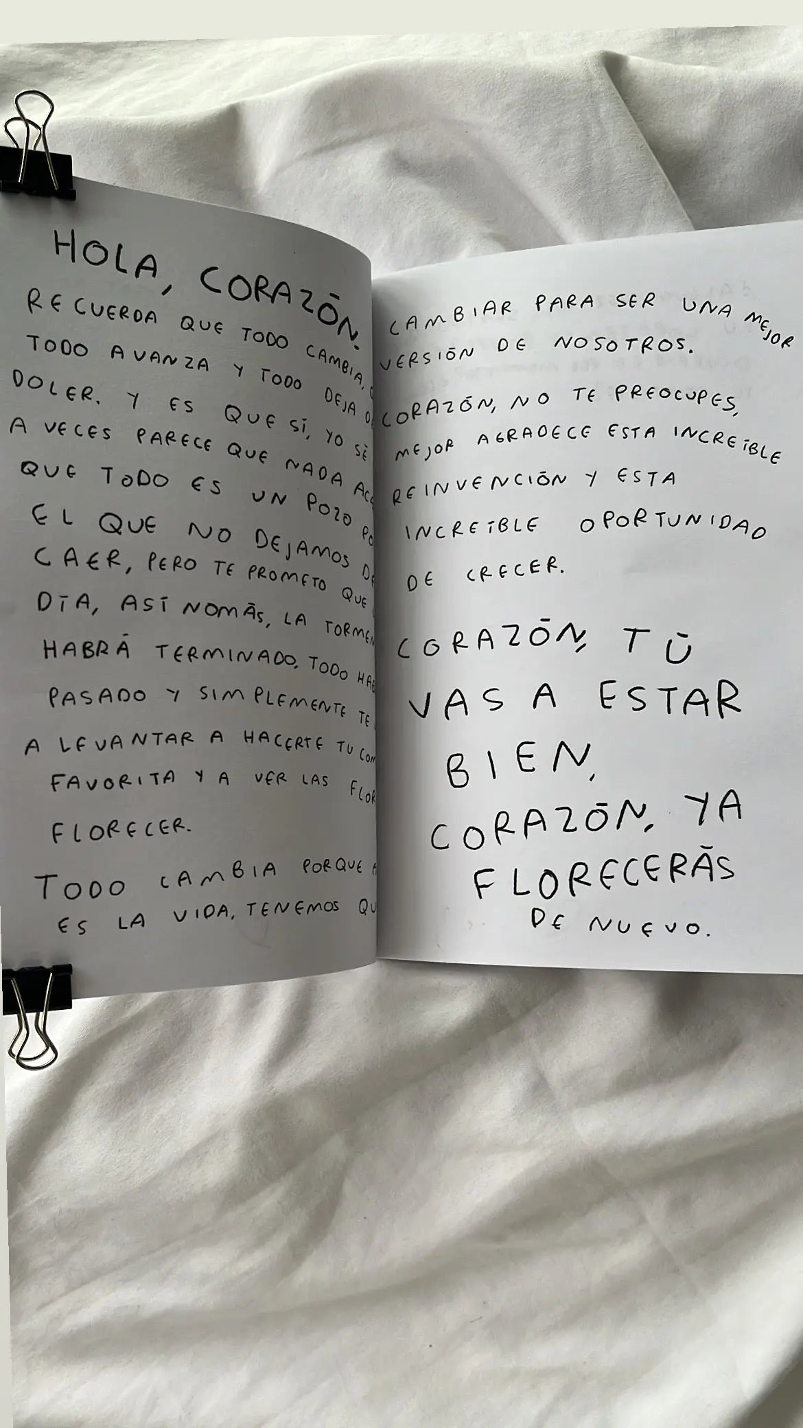 Hola, corazon. Diario para entender tus sentimientos (FISICO) Torna Gris - Artista Mexicano