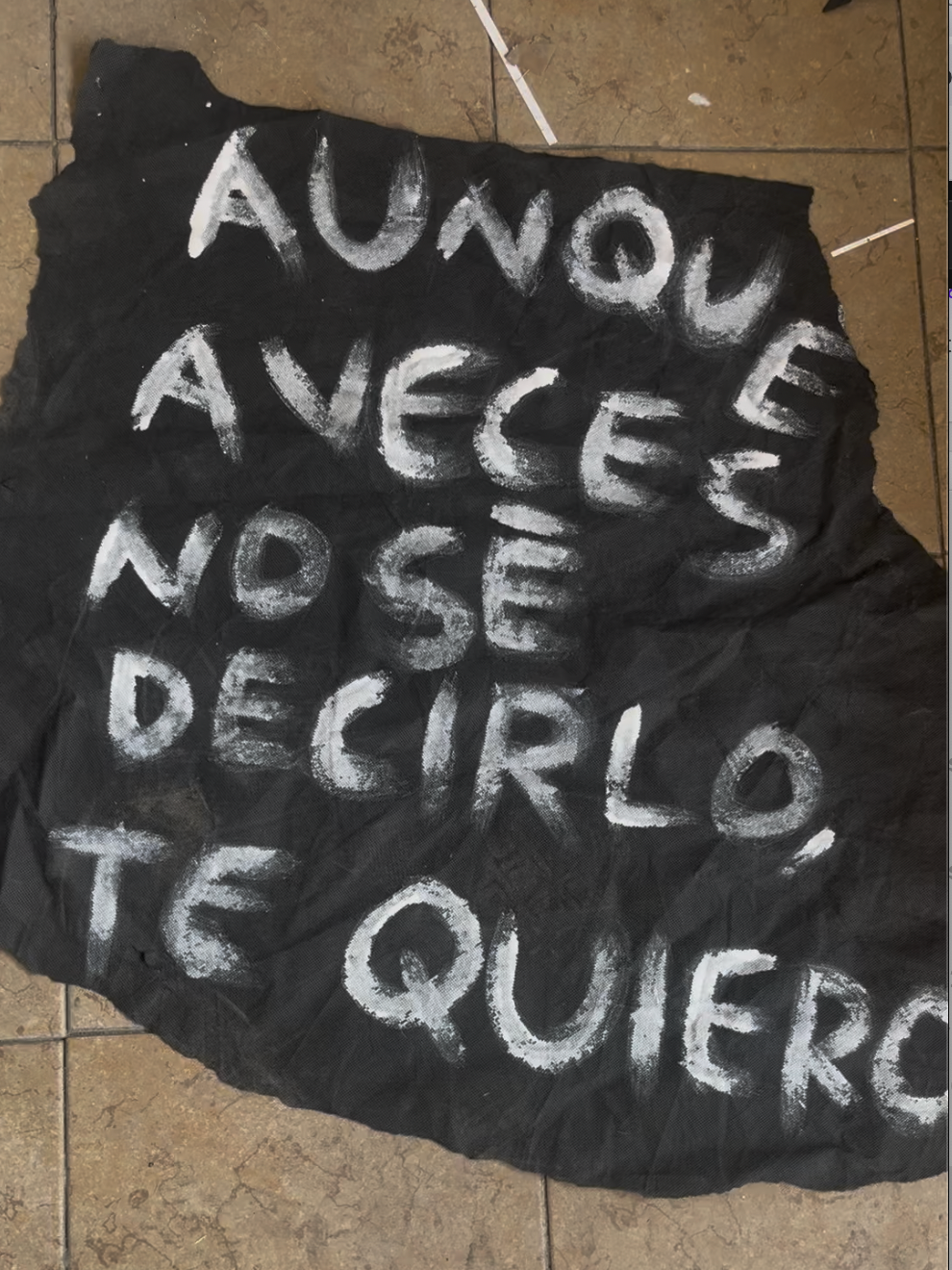 Aunque a veces no se decirlo, te quiero (Pintura original)