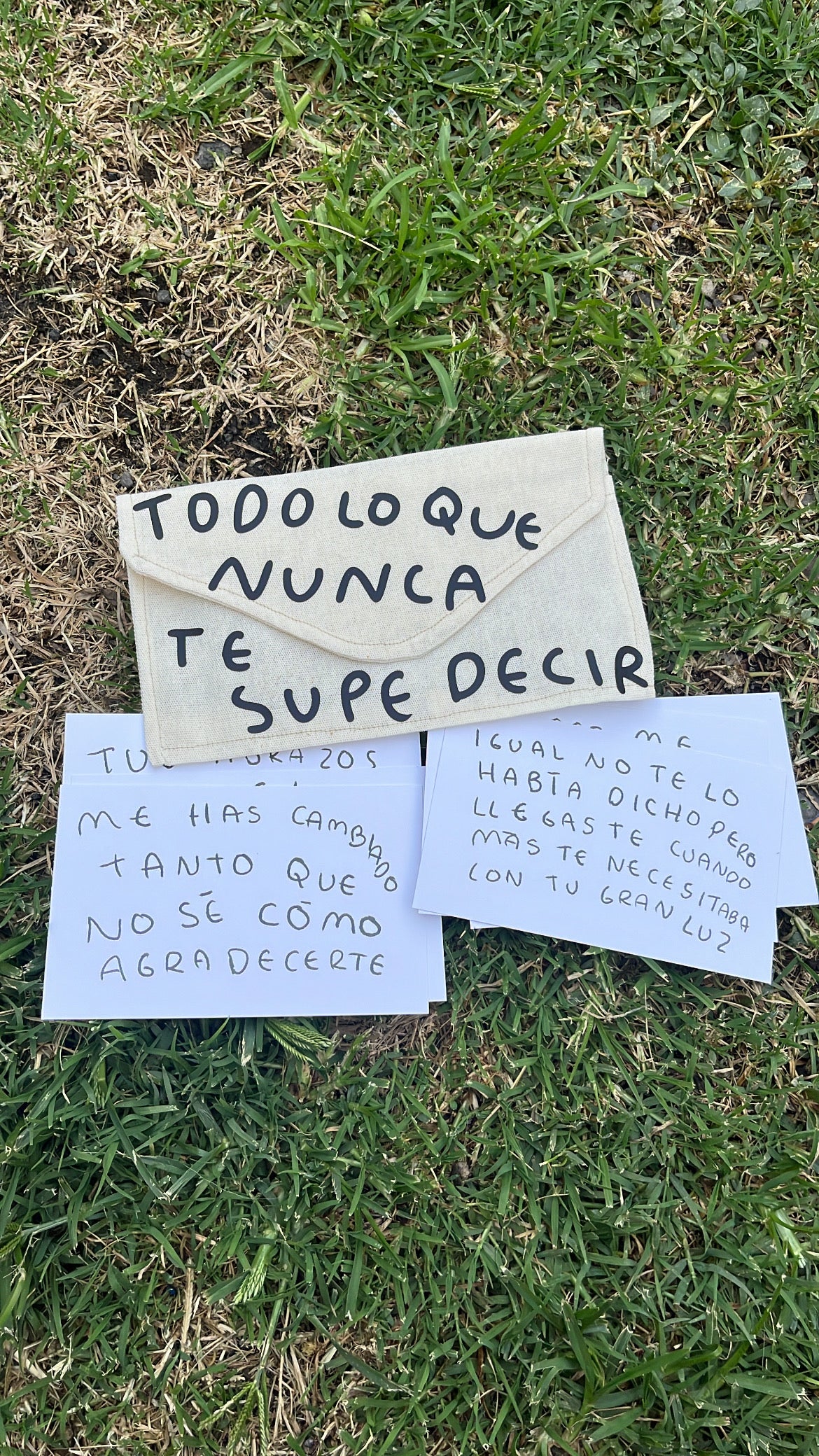 Todo lo que nunca te supe decir