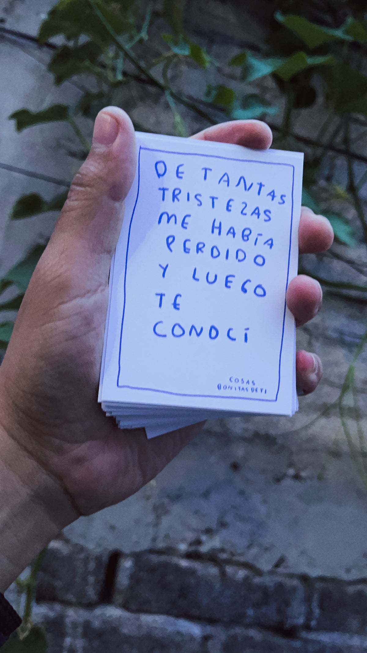 Todas las cosas bonitas de ti — Deck de cartas · Torna Gris - Torna Gris - Artista Mexicano