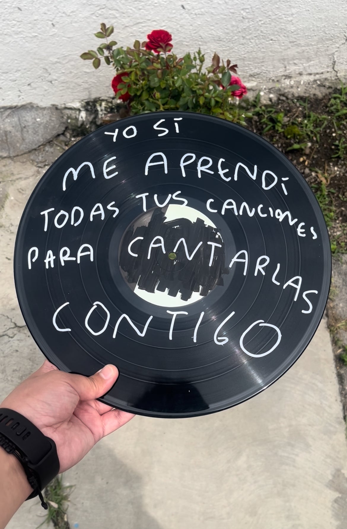 Disco vinyl Tornagris Torna Gris - Artista Mexicano