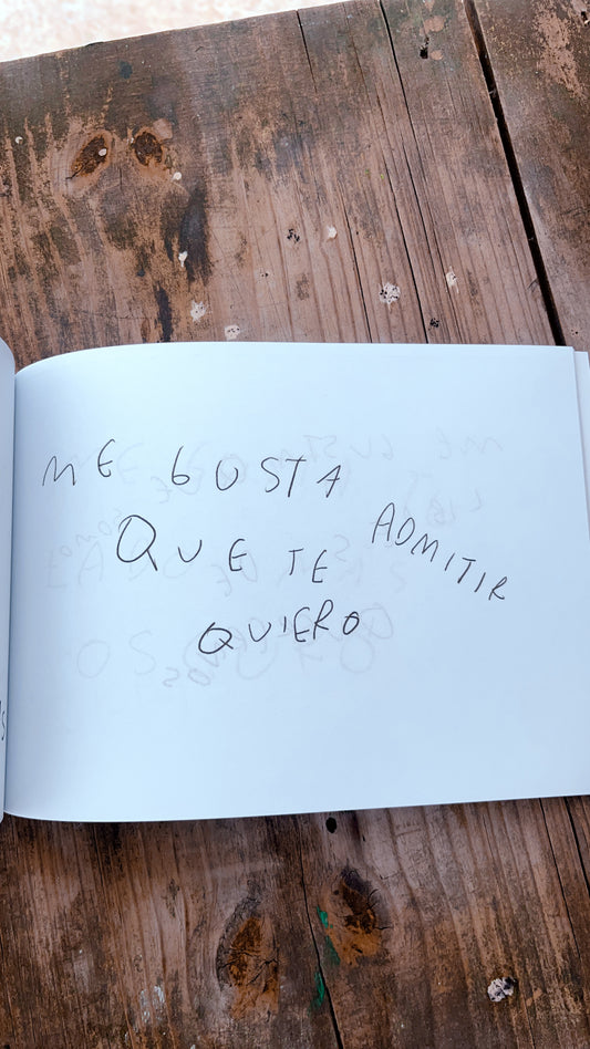 Otro Libro para Decirte Todo lo que Me Gusta de Ti – Mayoreo 5 a 100 piezas | Torna Gris