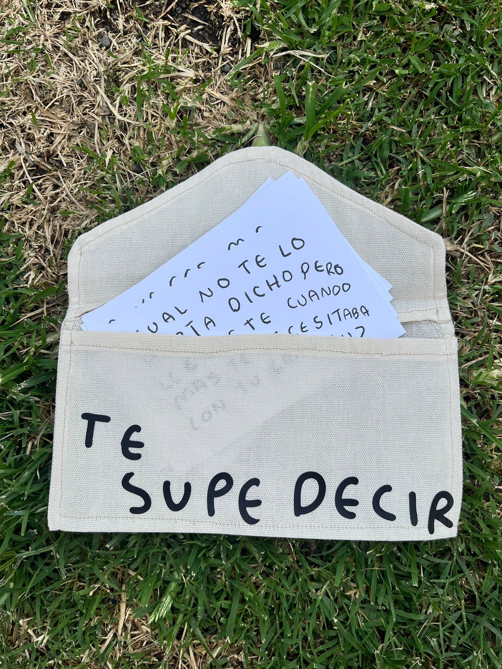 Todo lo que nunca te supe decir