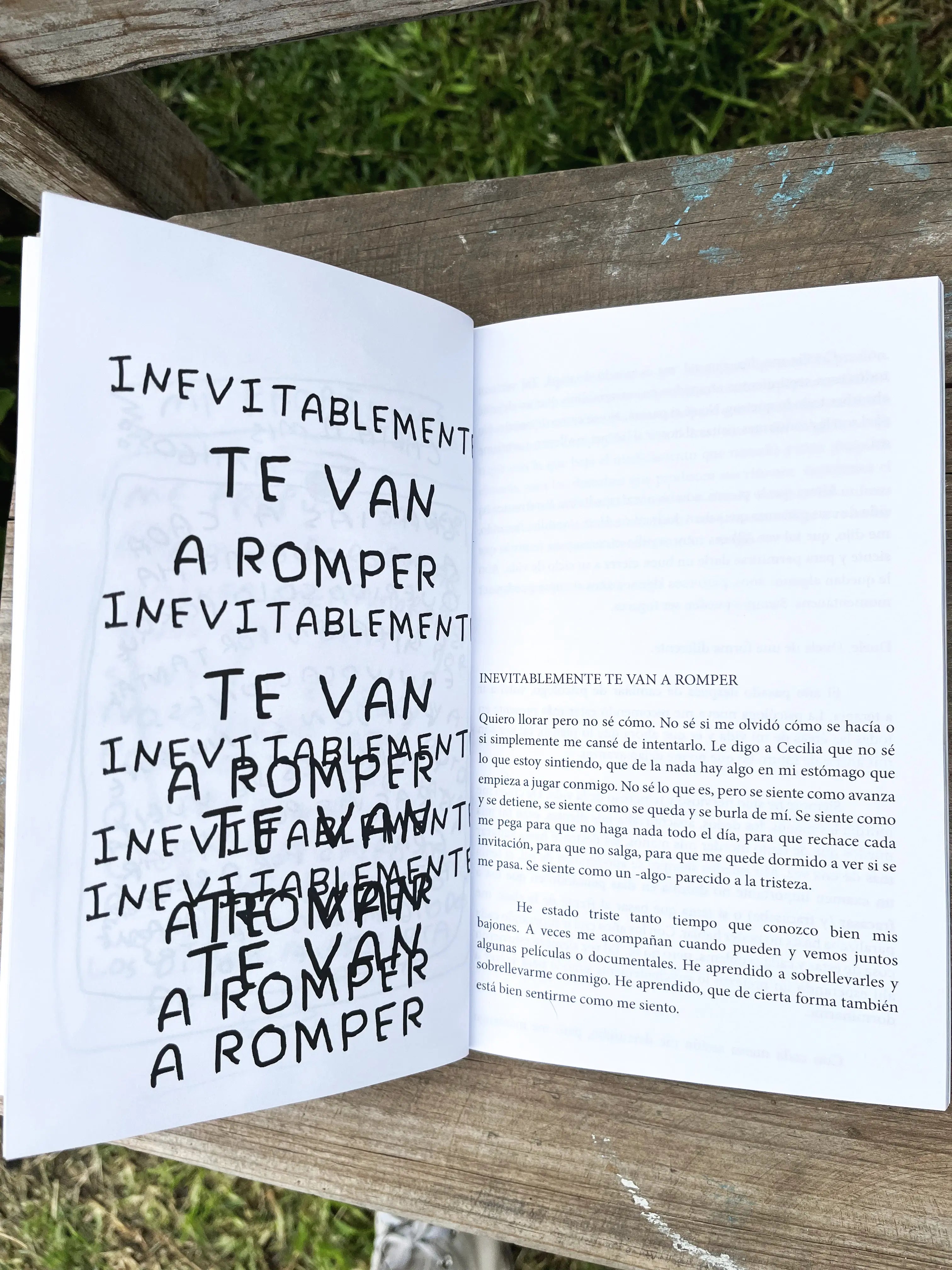 pagina del libro se te olvido decirme como dejarte de querer texto original extraido del libro original 