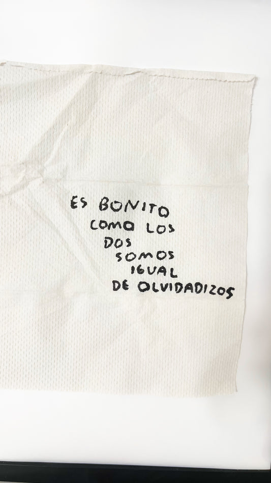 Es Bonito Como los Dos Somos Igual de Olvidadizos – Servilleta Intervenida Original