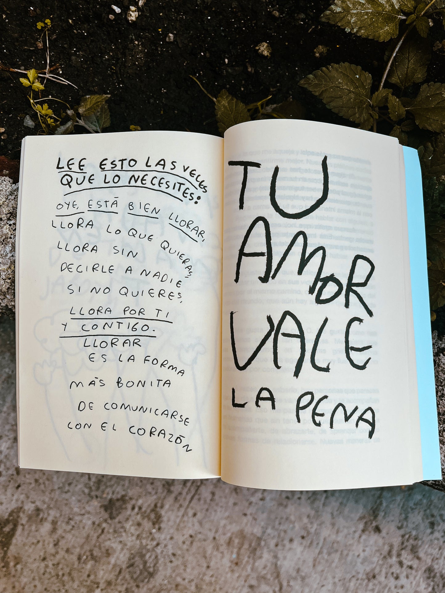 Todos estamos rotos LIBRO ORIGINAL (Fisico) - Torna Gris