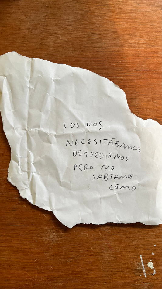 Los Dos Necesitábamos Despedirnos pero Sin Saber Cómo – Servilleta Enmarcada Original