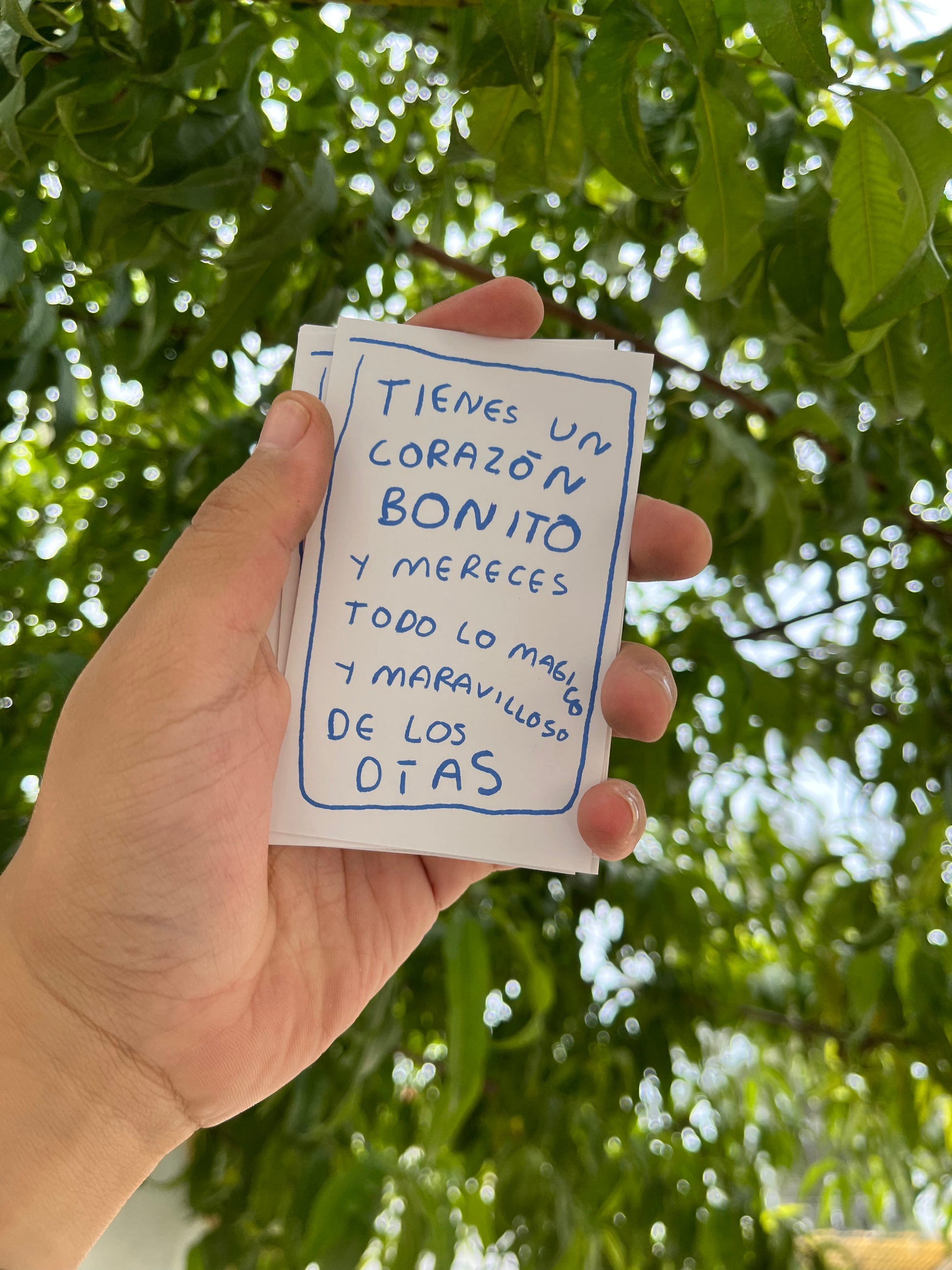 Todo lo que aprendi llorando (fisico) - Torna Gris - Artista Mexicano