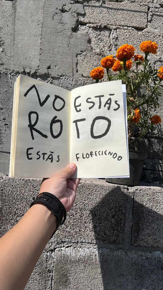 Todos Estamos Rotos | Libro de Amor, Desamor y Sanación