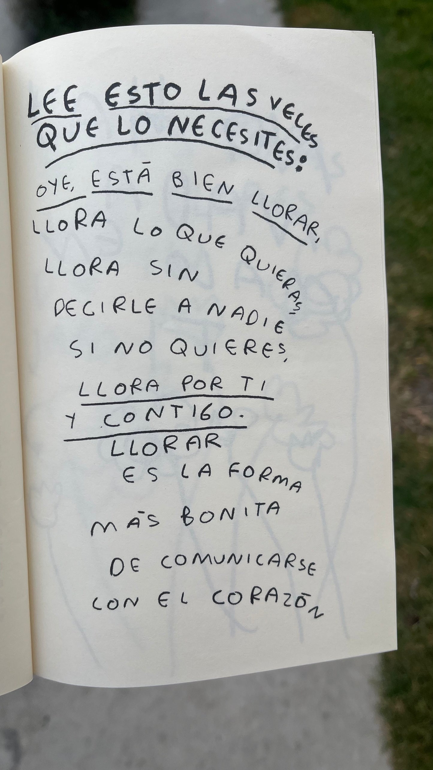 Mix Mayoreo – Todos los Libros de Torna Gris | Elige tu cantidad