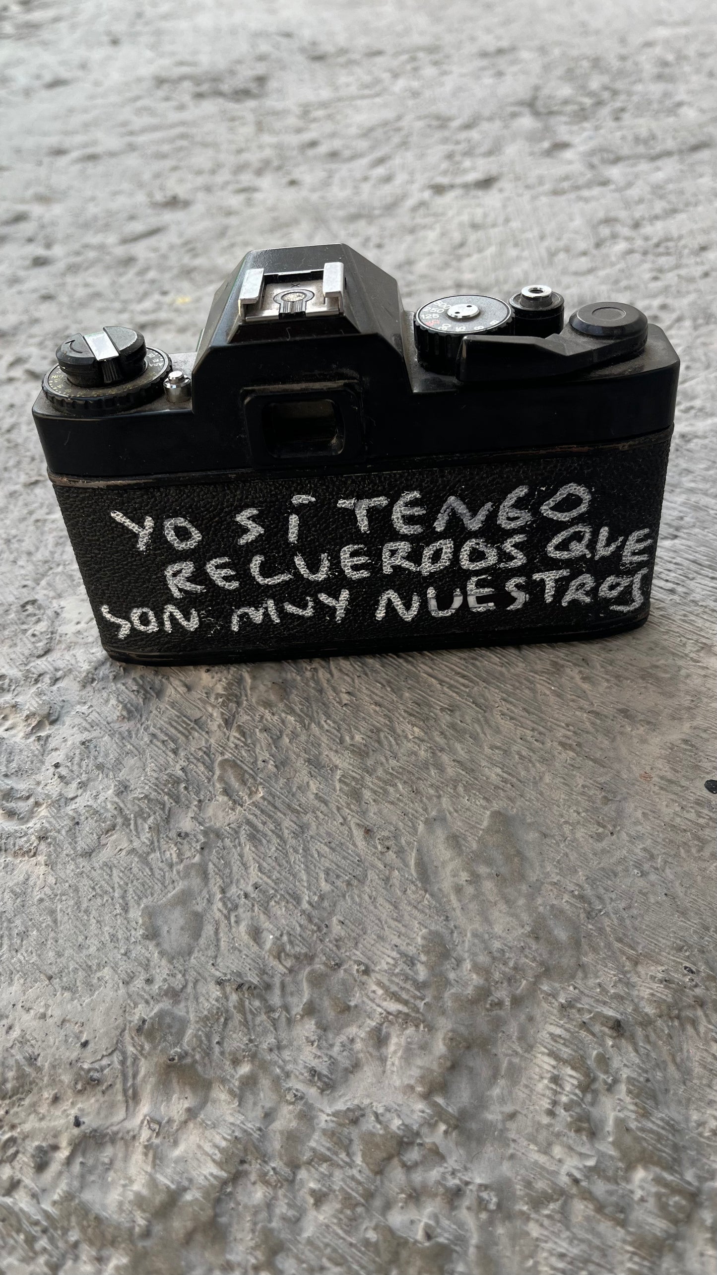 Cámara OLD Tornagris