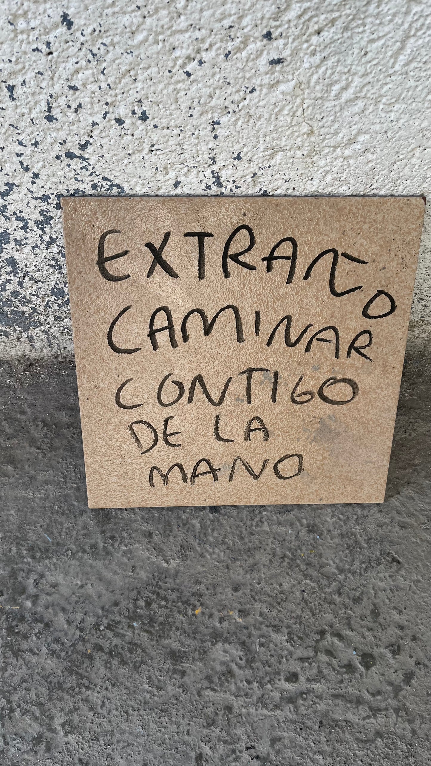 Loceta original Tornagris 3