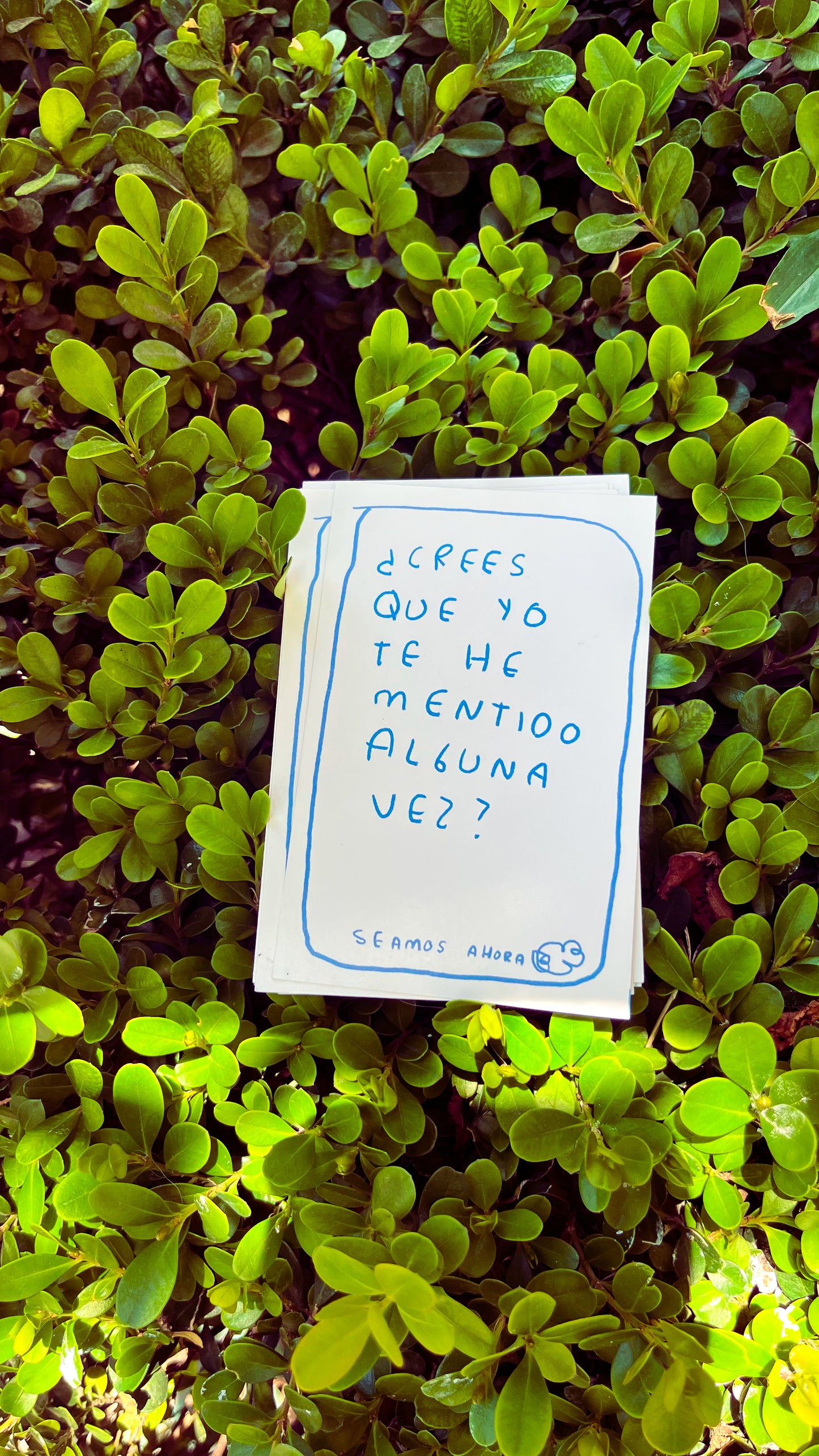 Seamos Nuestro Ahora Clásico - Juego de Mesa para Conexión Emocional | Torna Gris