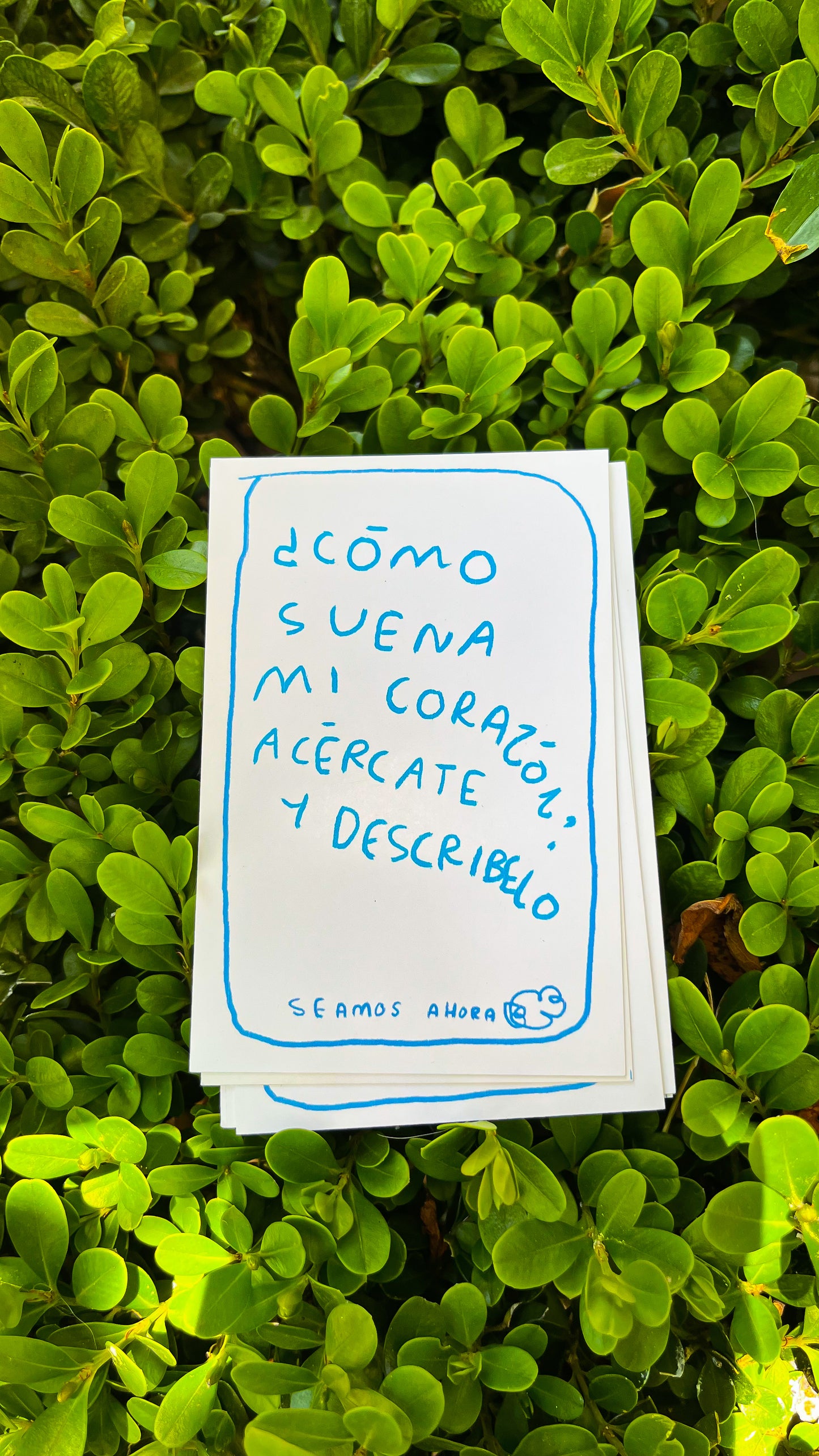 Seamos Nuestro Ahora Clásico - Juego de Mesa para Conexión Emocional | Torna Gris