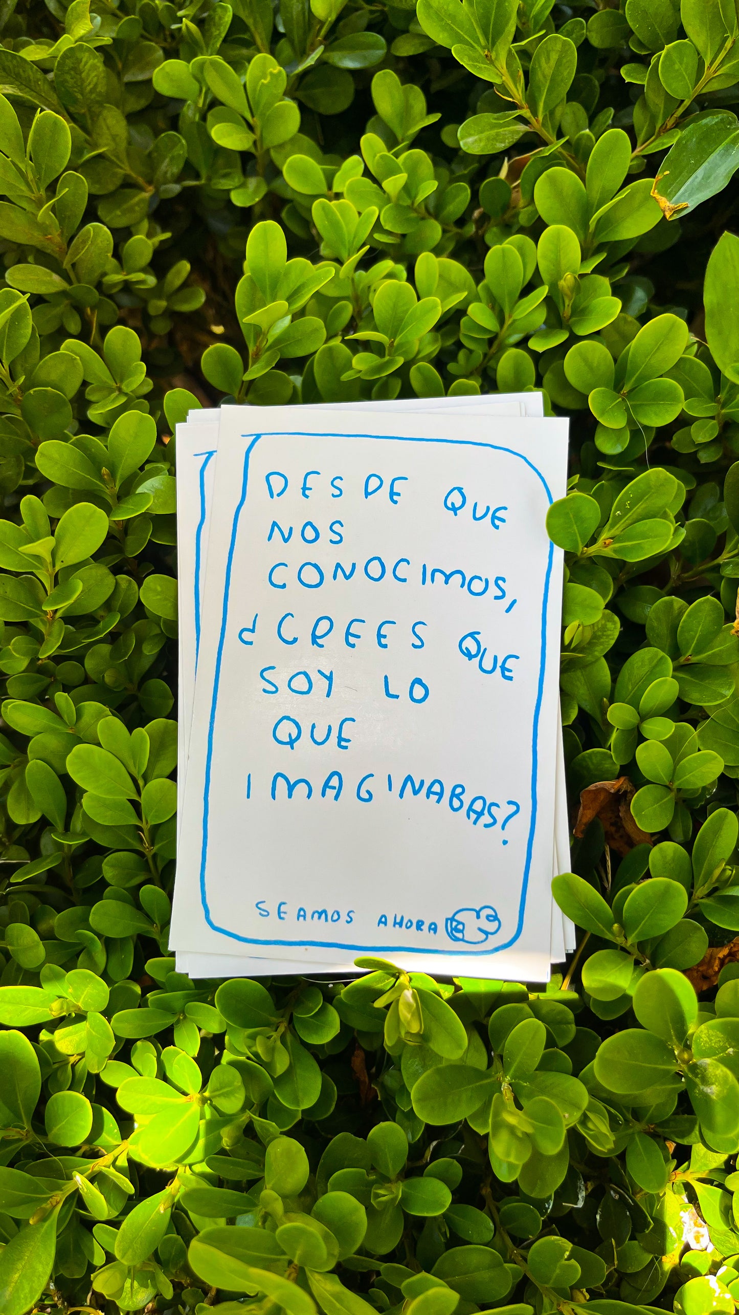 Seamos Nuestro Ahora Clásico - Juego de Mesa para Conexión Emocional | Torna Gris