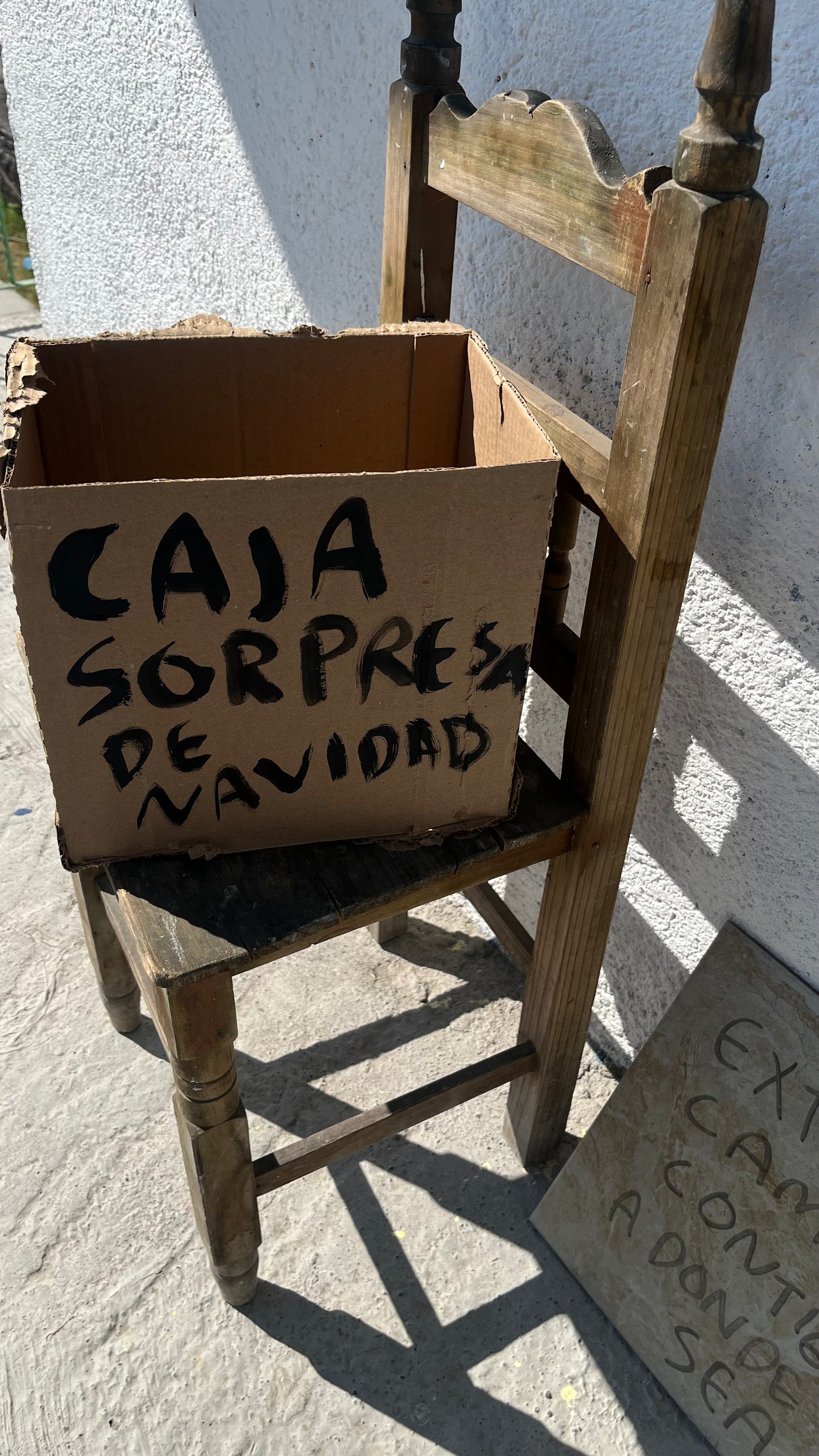 Caja Navideña - 4 Artículos sorpresa de Torna Gris 🎁