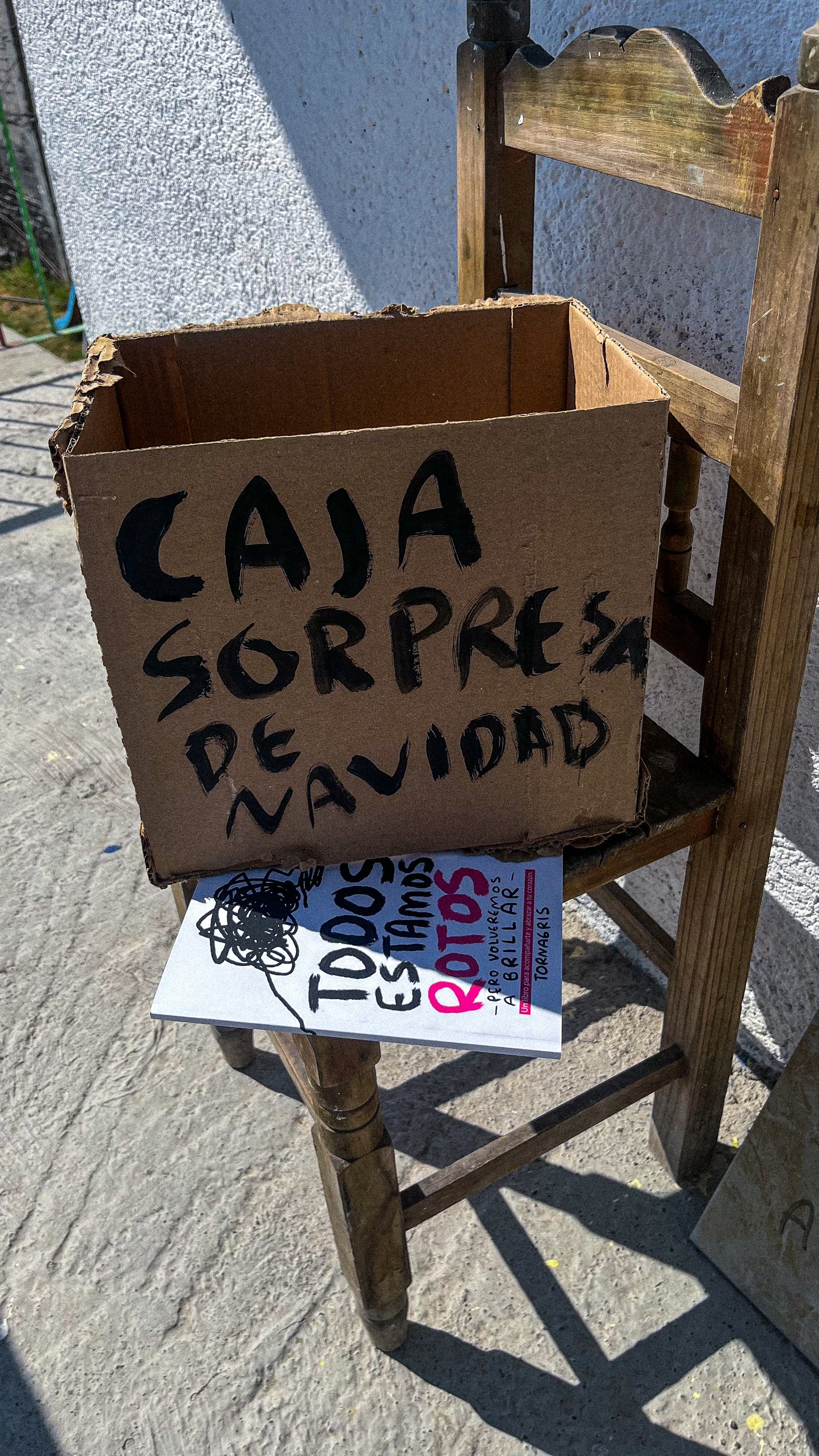 Caja Navideña - 4 Artículos sorpresa de Torna Gris 🎁