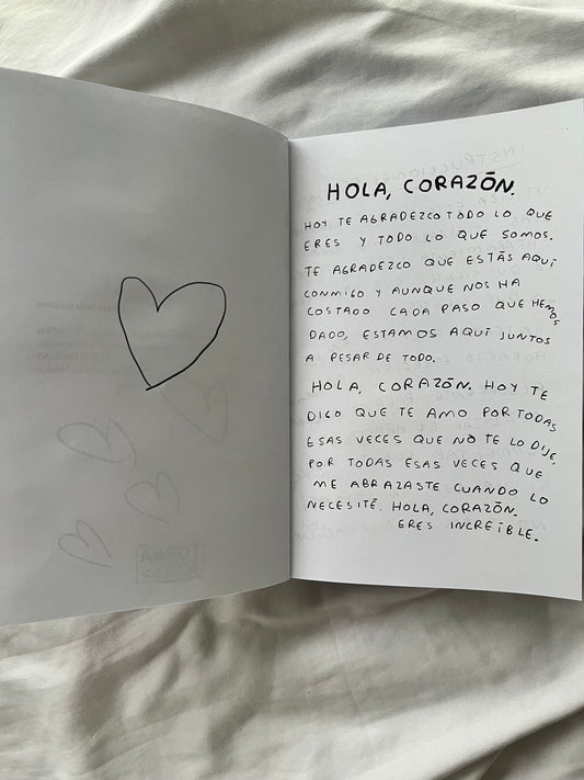 Hola, corazon. Diario para entender tus sentimientos (FISICO) Torna Gris - Artista Mexicano