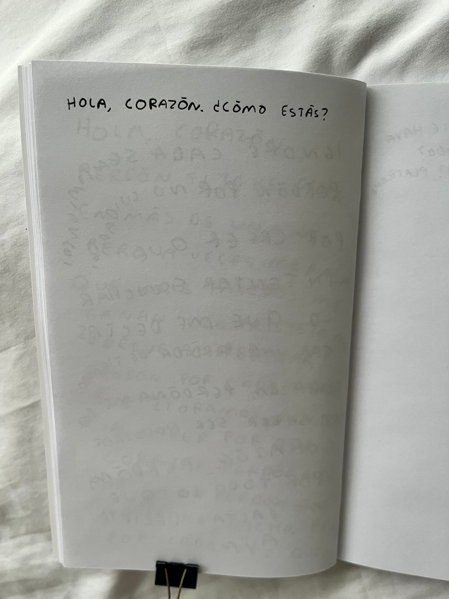 Hola, corazon. Diario para entender tus sentimientos (FISICO) Torna Gris - Artista Mexicano