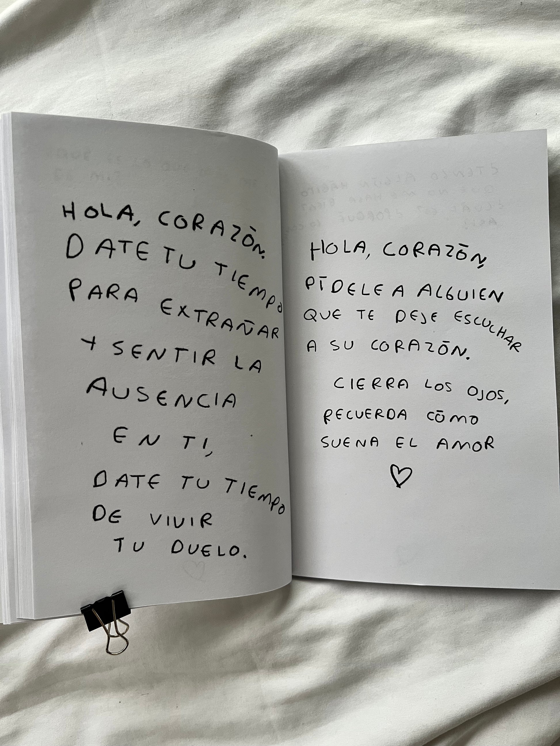 Hola, corazon. Diario para entender tus sentimientos (FISICO)