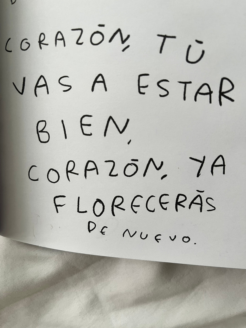 Hola, corazon. Diario para entender tus sentimientos (FISICO)