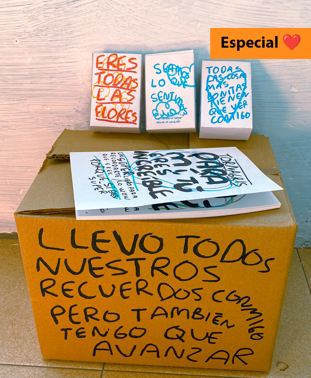 Caja especial COLLAGE con todos los articulos de la tienda (Fisico)