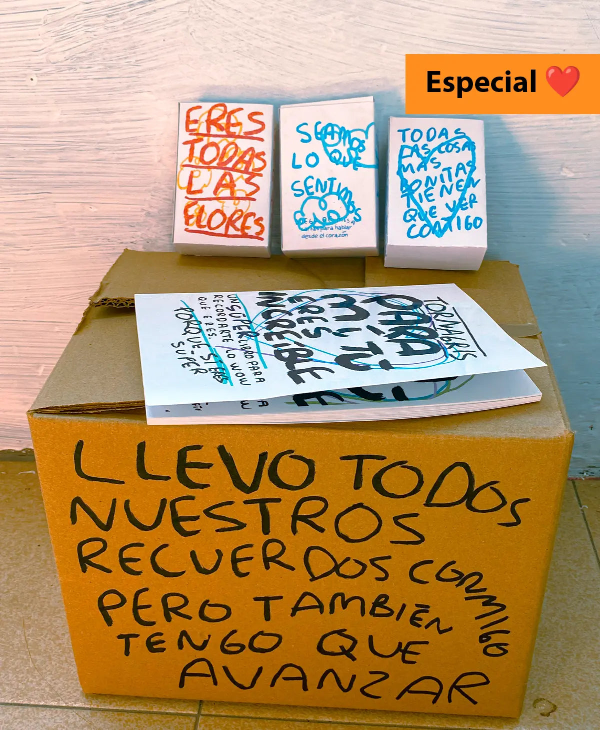 Caja especial COLLAGE con todos los articulos de la tienda (Fisico) Torna Gris - Artista Mexicano