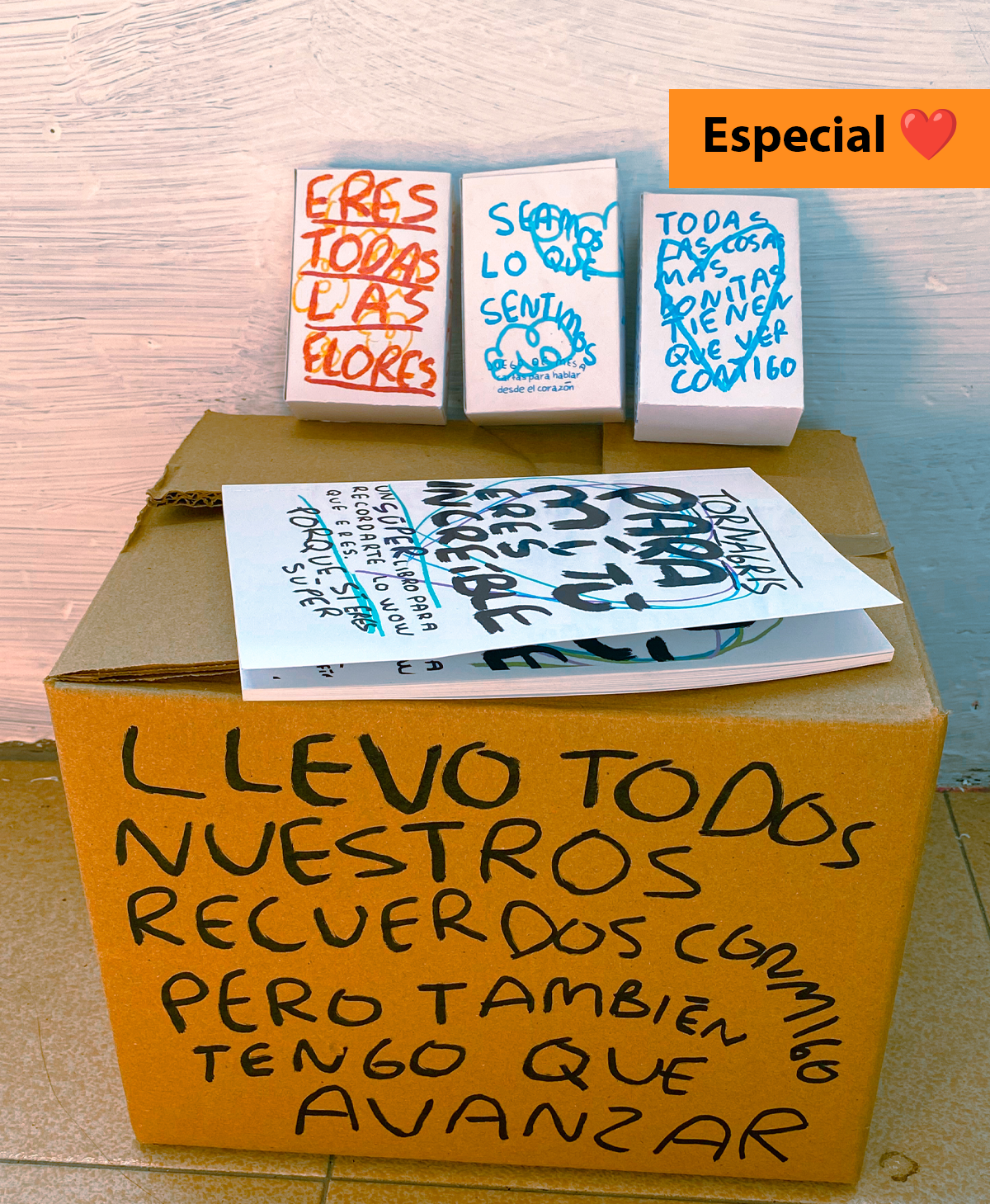 Caja especial COLLAGE con todos los articulos de la tienda (Fisico)
