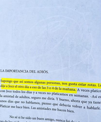 pagina del libro se te olvido decirme como dejarte de querer texto original extraido del libro original 